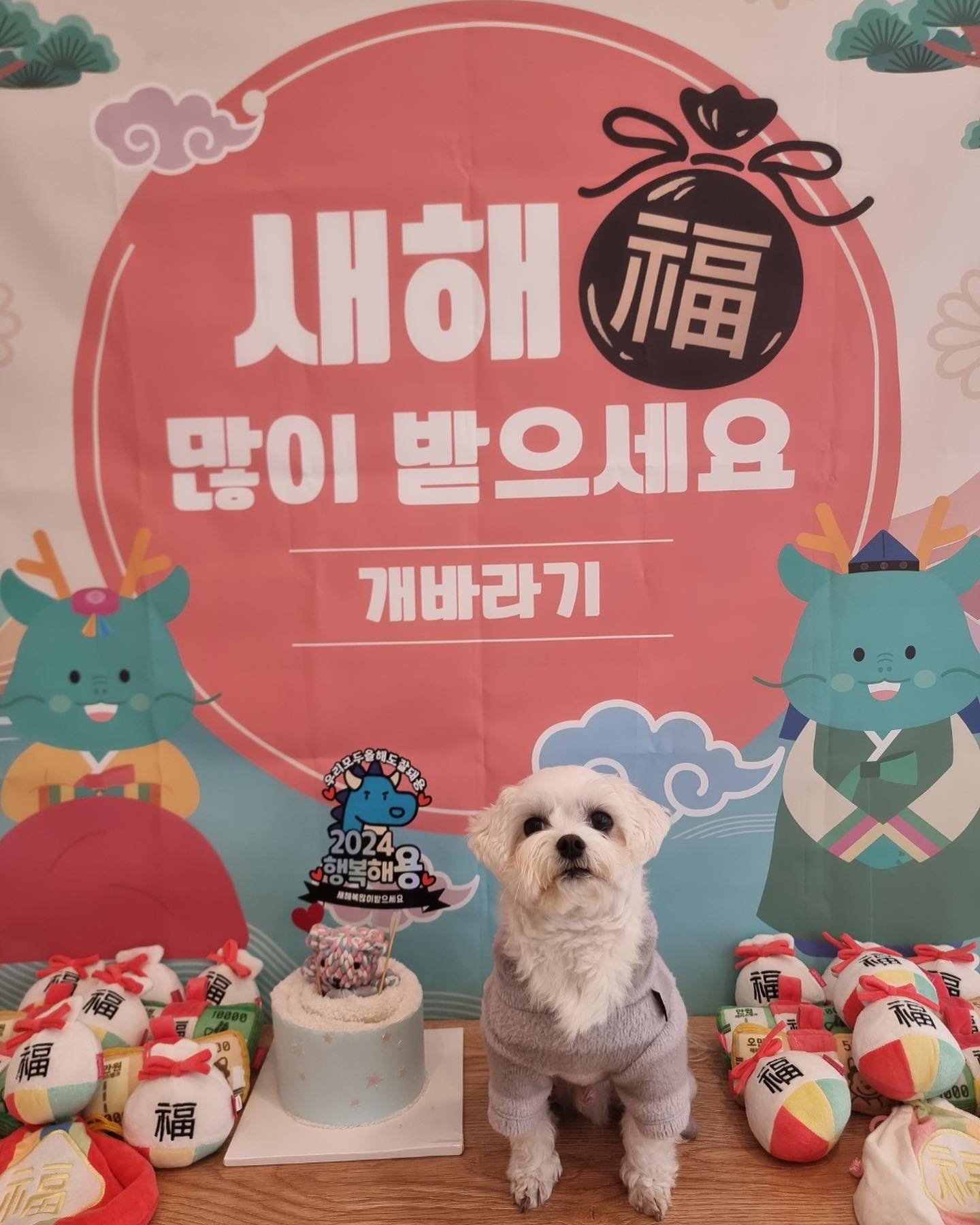 찌뵬 2024 설명절 유쳔 생활🫶🏻
새해 복 많이 받아 칭구들🥳🥳🥳🥳
#우리모두잘돼용 #행복해용
