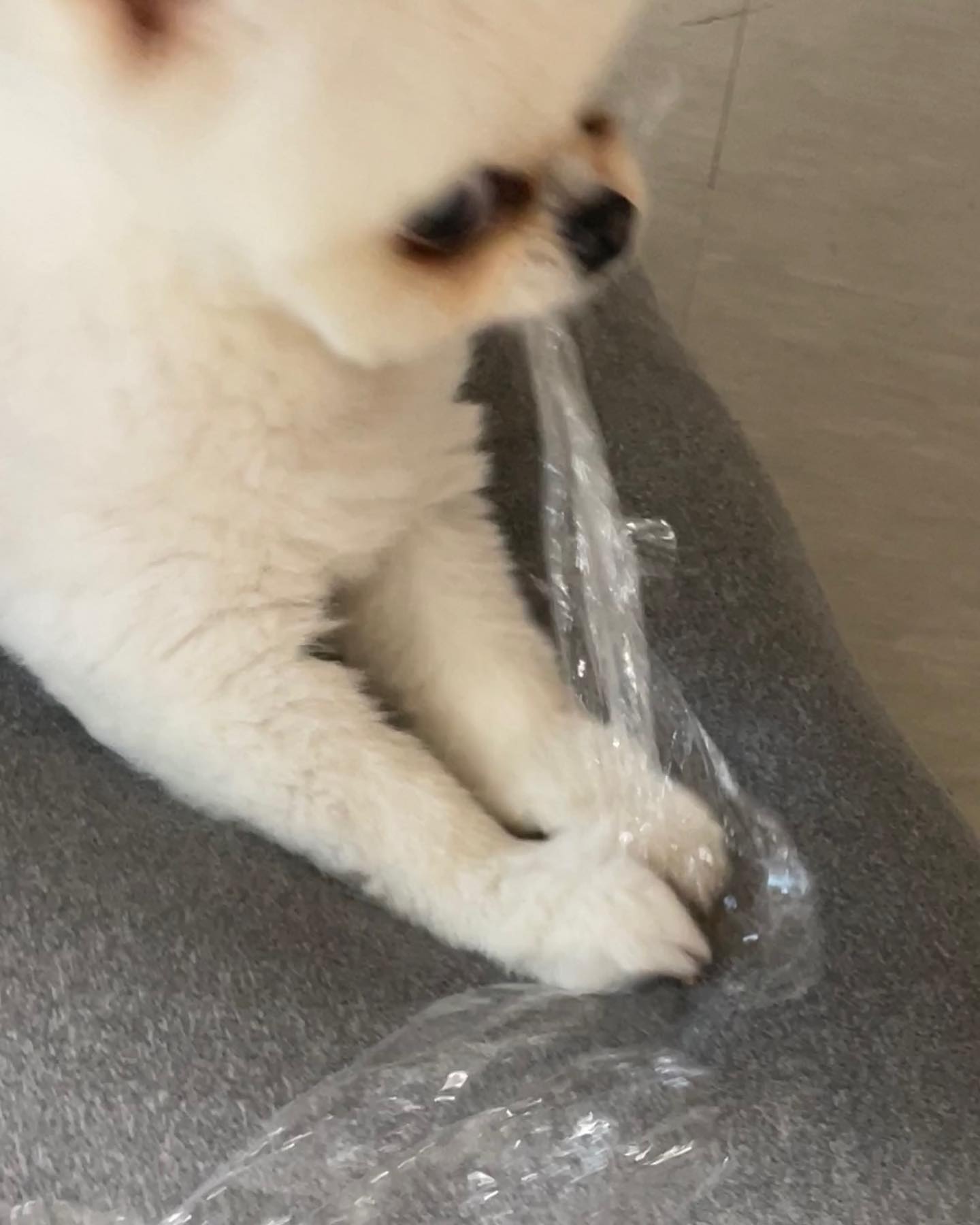 안 뺏을게 ^^;