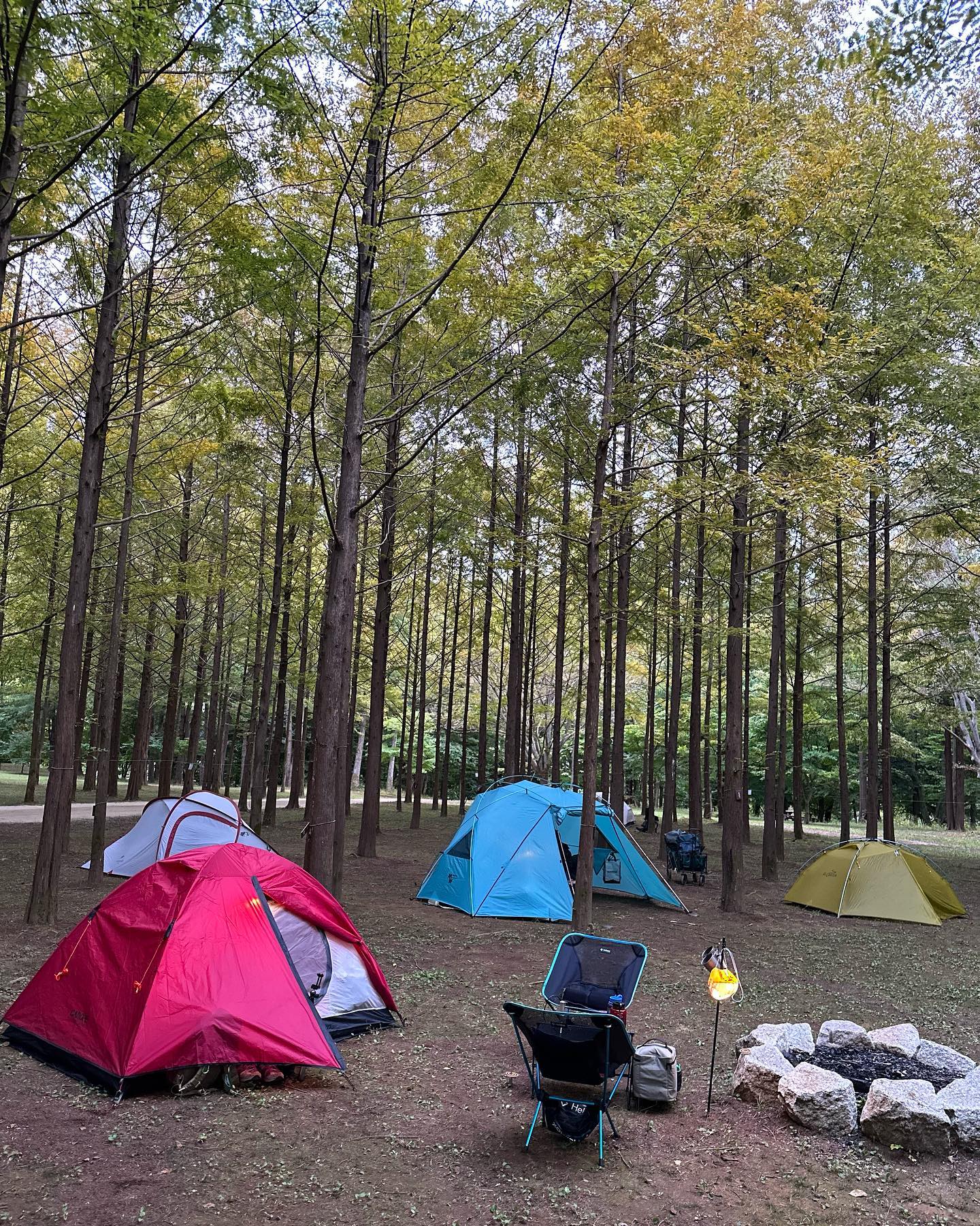 _

빼빼킹🎒
굴업도 ..매물도..추자도…..욕지도..
장봉도….덕적도..도…..도도도도
도로 끝나는 섬🏜️🧐을 찾아서!!!

#백패킹 #남이섬 #섬캠핑 #트레킹온아일랜드 
#트레킹온아일랜드가을시즌 #단풍캠핑 #남이섬캠핑