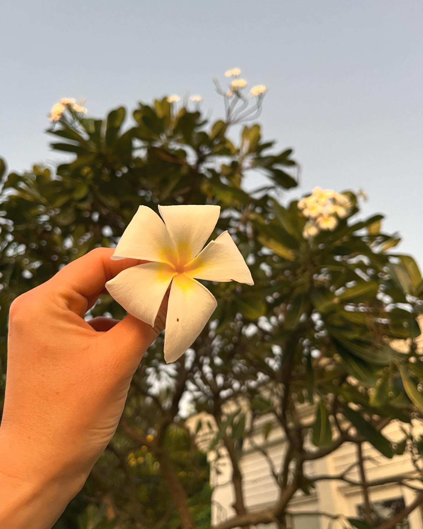 순간을 소중히✨

엄마 환갑 기념 여행 기록 저장.
앞으로 좋은데 더많이 다니자 맘♥️

kimsihyun8 🥰

2023.12.05 - 12.11 🇻🇳

#베트남 #다낭여행
#모녀여행 #환갑여행
#꽃보다고운우리엄마
#건강하세요