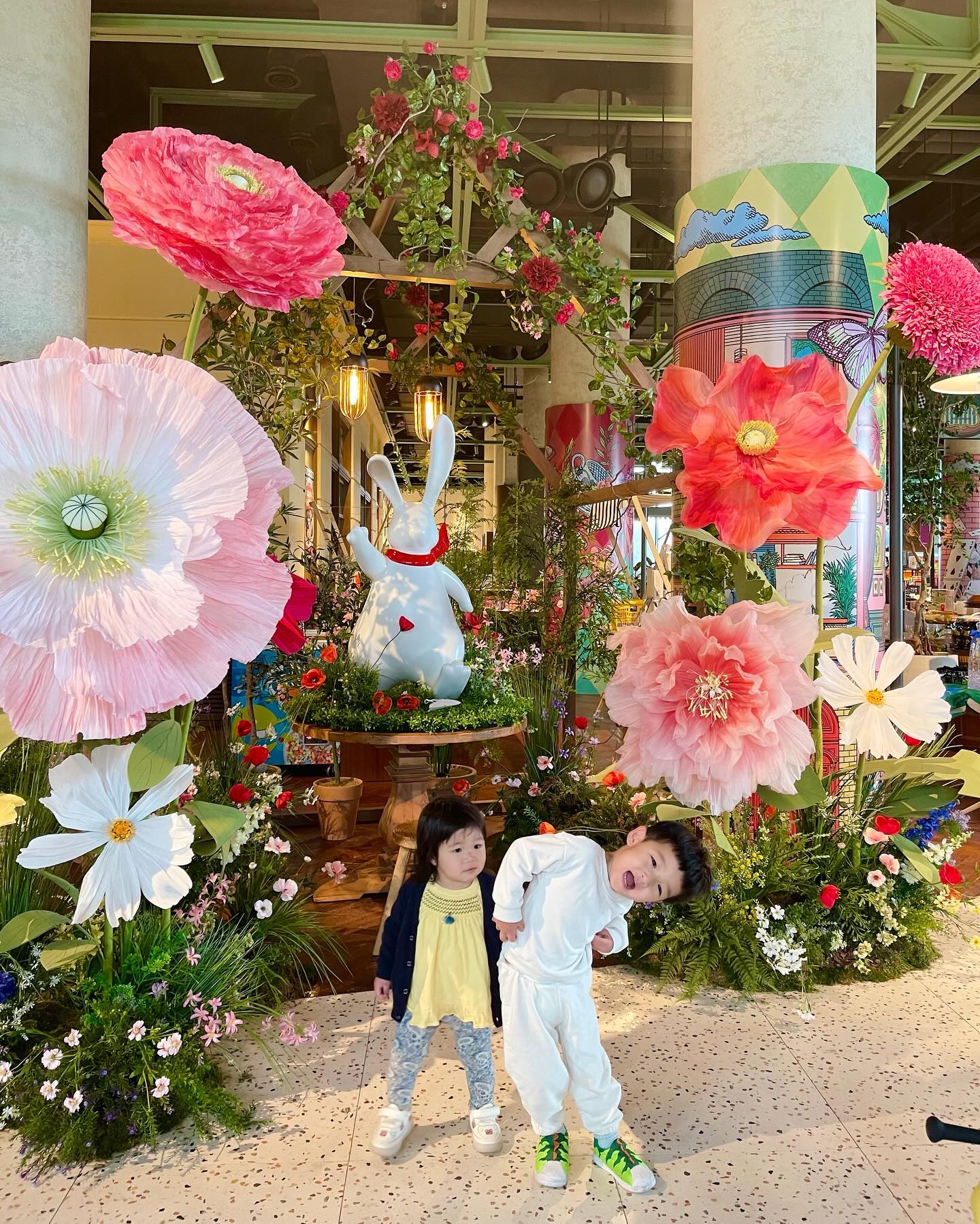 이상한나라의 앨리스 🌸❤️💗