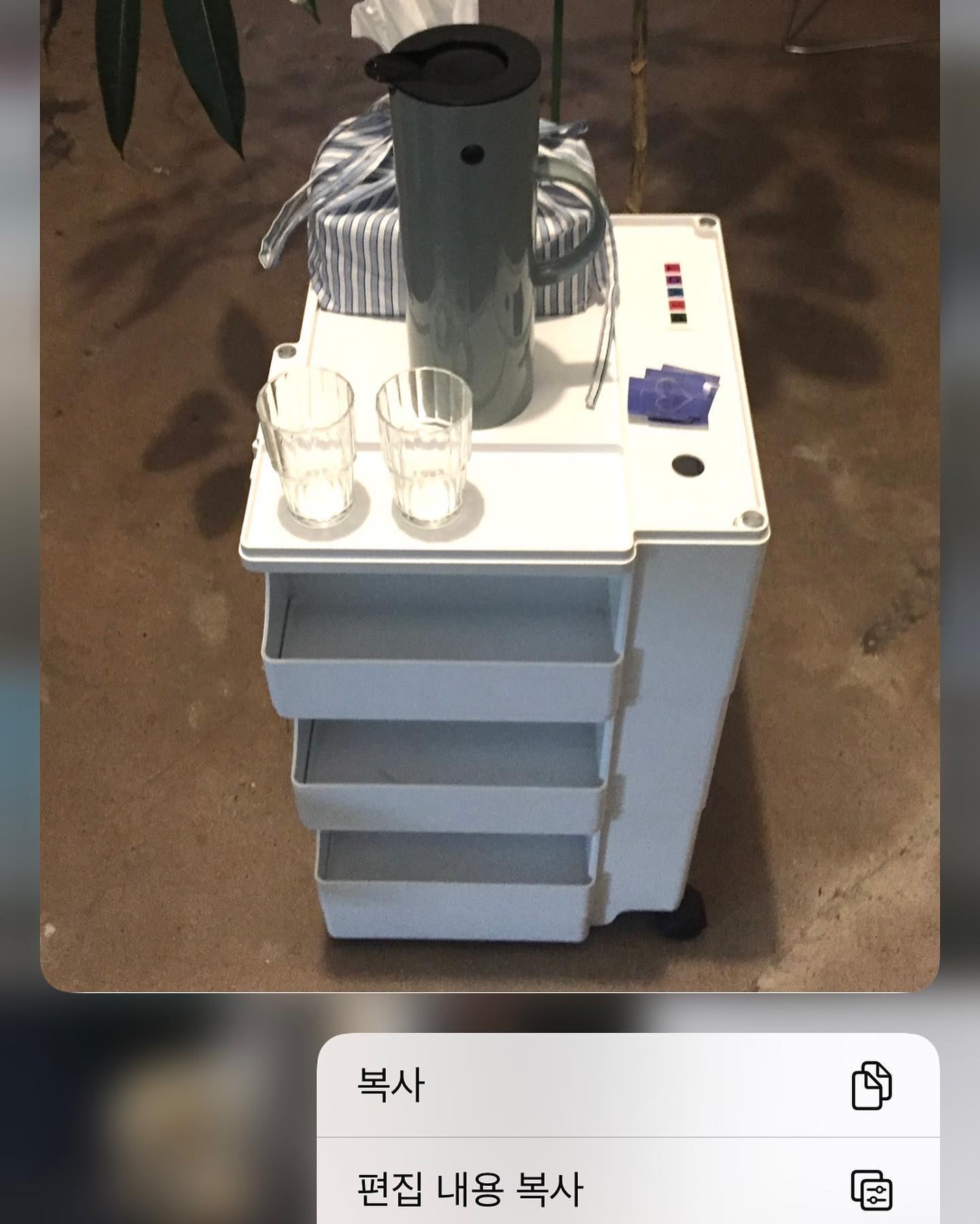 모아모아