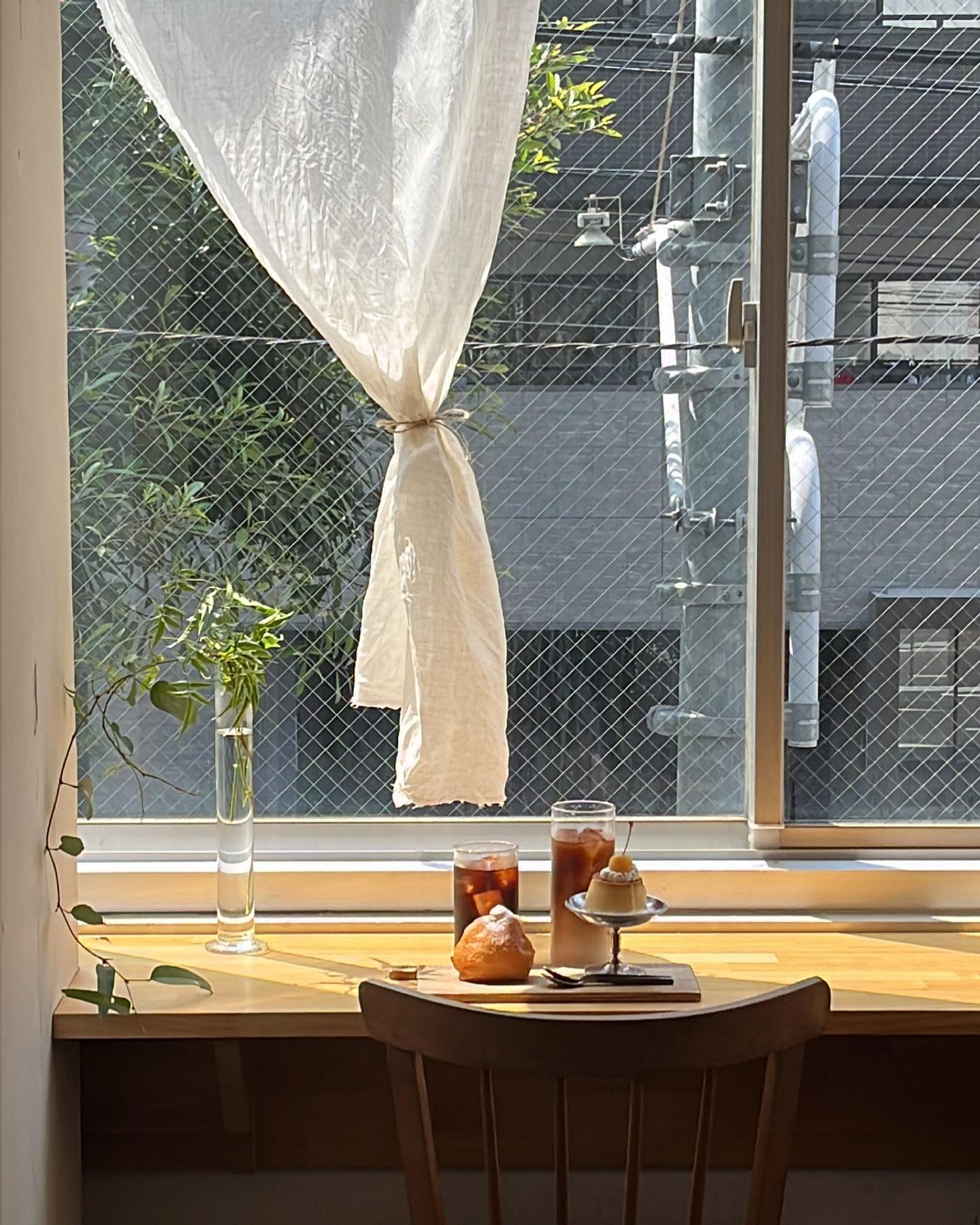 옹냥뇽양 힐링