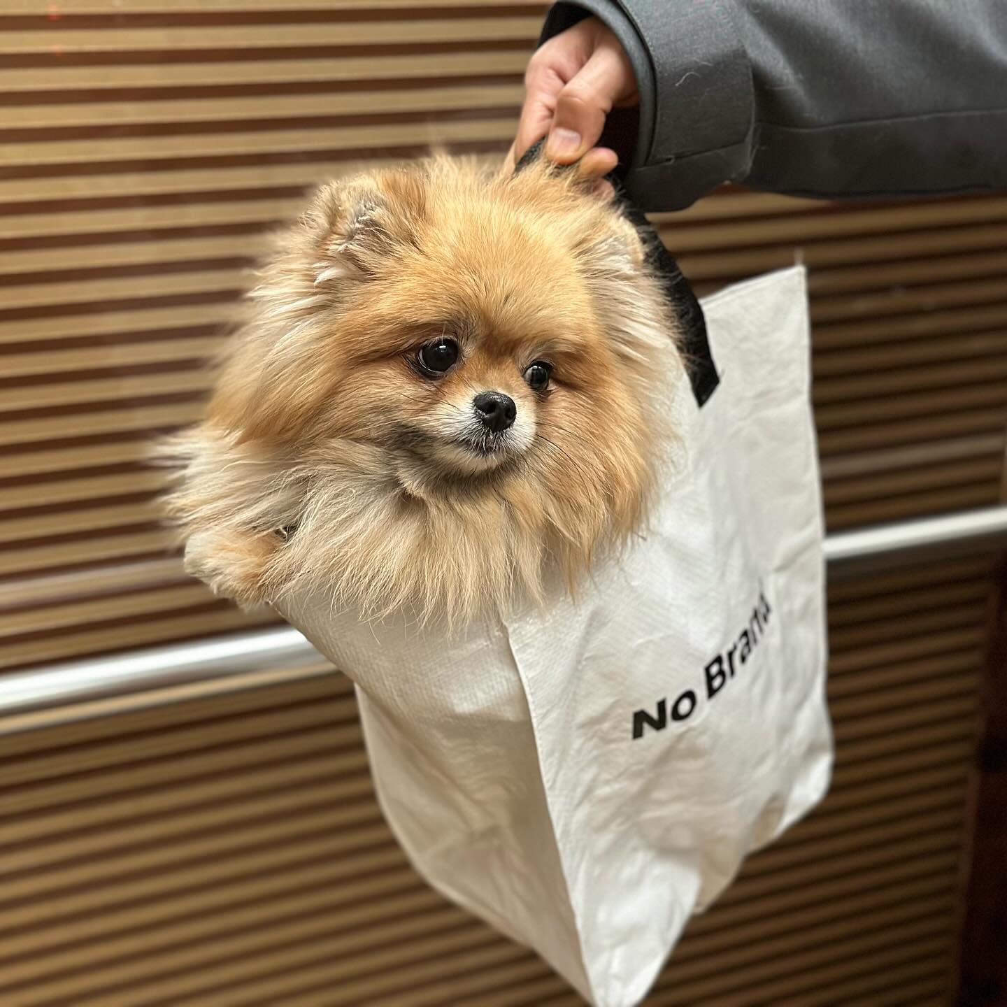 안을 손이 없어 일단 담아 봤는데 이렇게 잘 있기늬~❤️