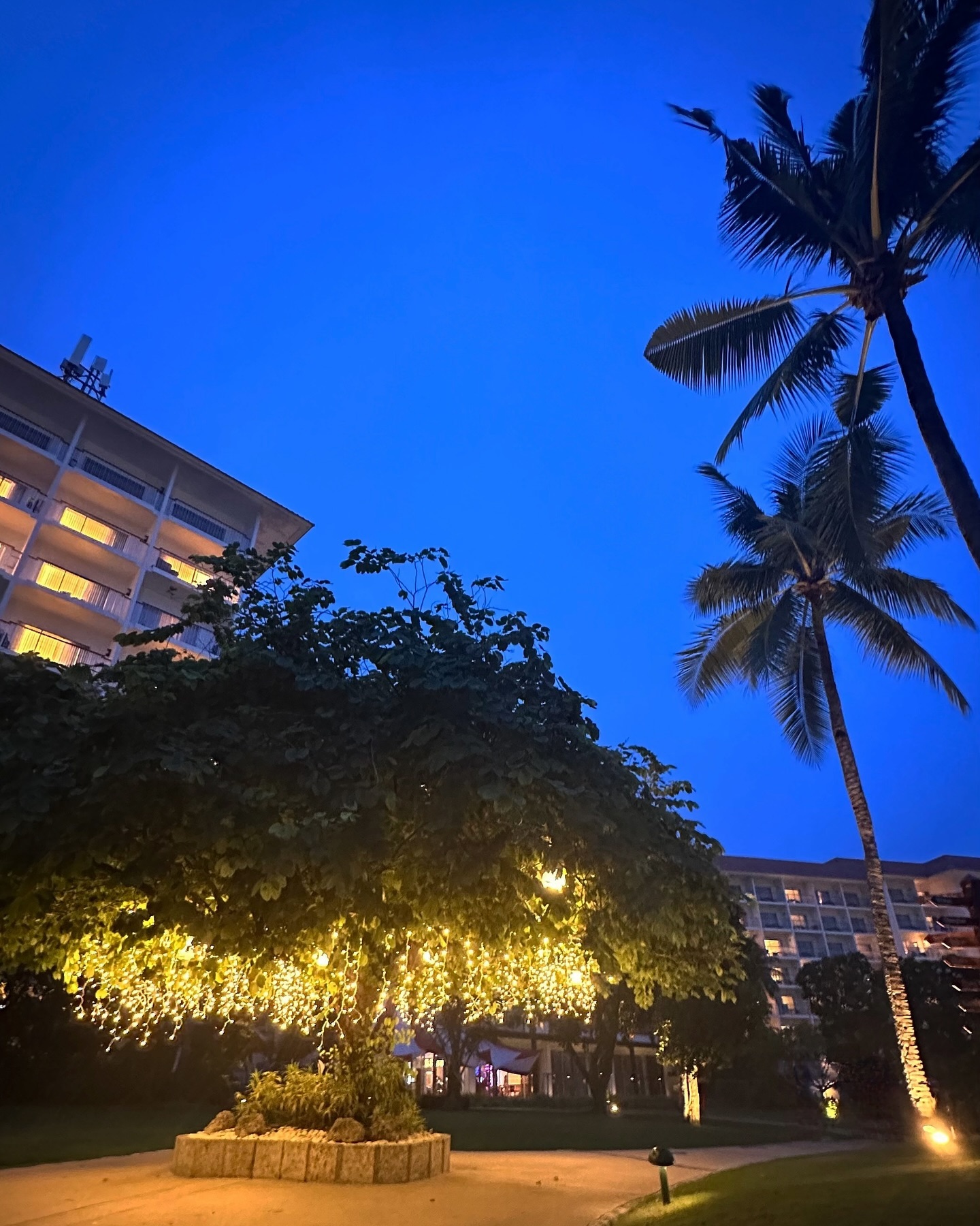 shangrilamactan 🖤
잊지 못할 세부 막탄 샹그릴라의 밤✨