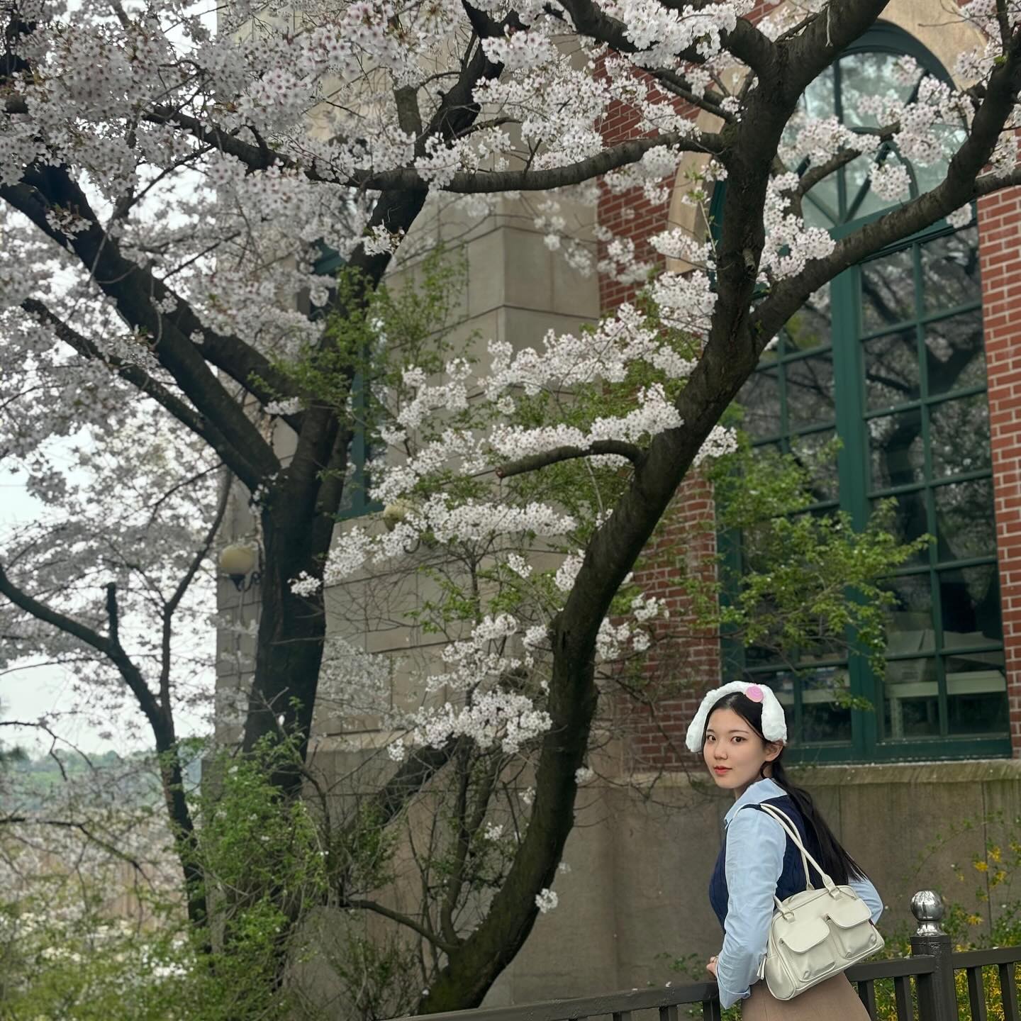 🌸🐼🍎