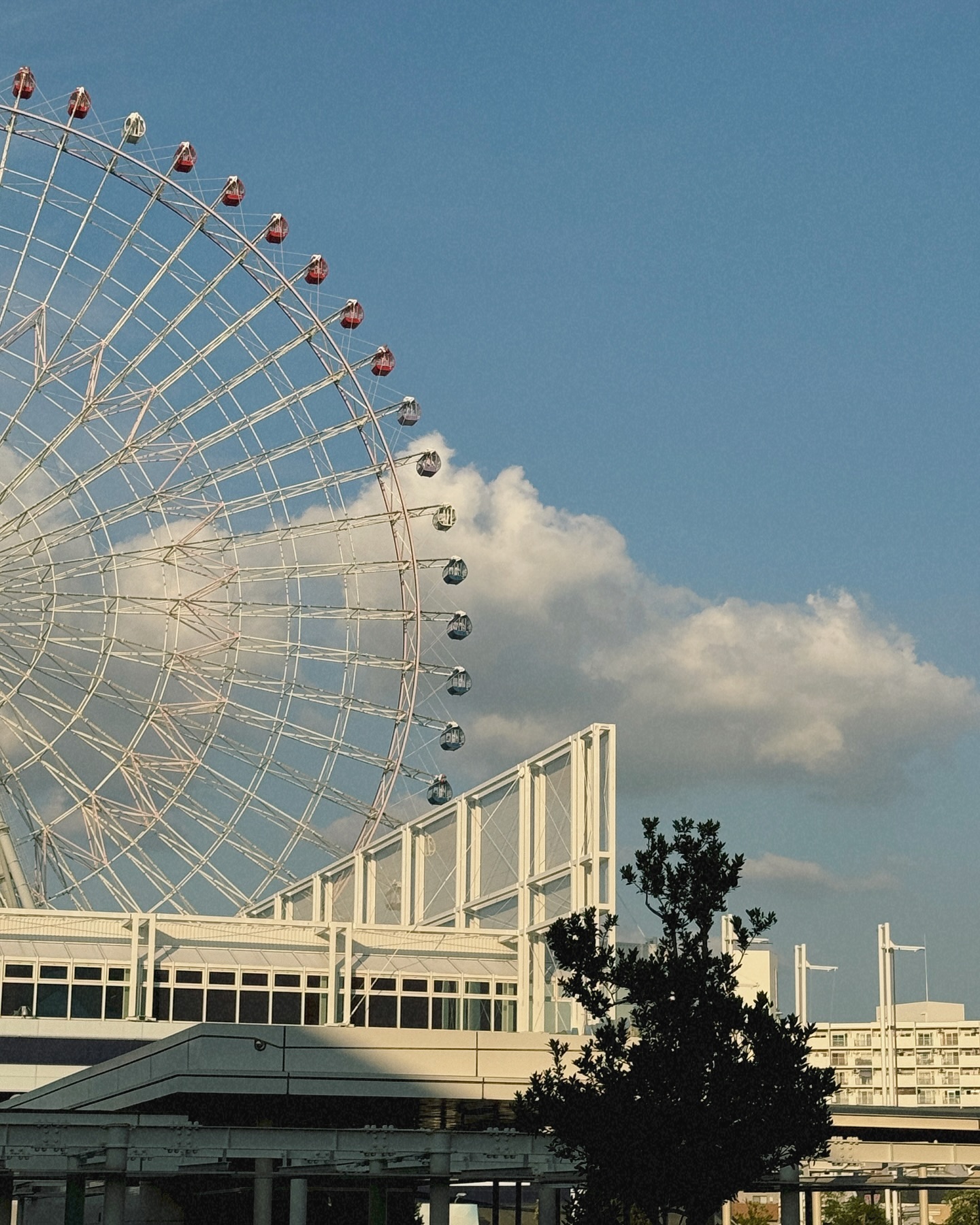240928 ~ 241001⠀
_Osaka 海遊館 ✿ ̣。⠀
처음으로 본 고래상어랑 세상에서 제일 높은 대관람차🎡⠀