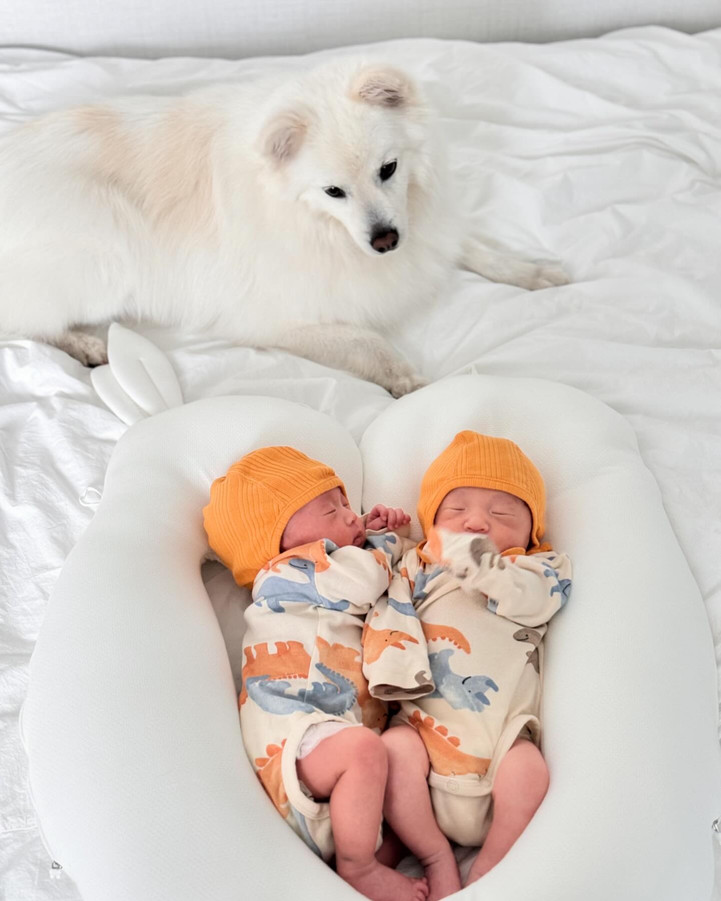 유도분만으로 6시간 진통끝에 둥이들 상봉👶🏼👶🏼
한달동안 3키로 돌파하고 무럭무럭 자라는중
리코엉아랑 다섯식구 잘지내보자🤍