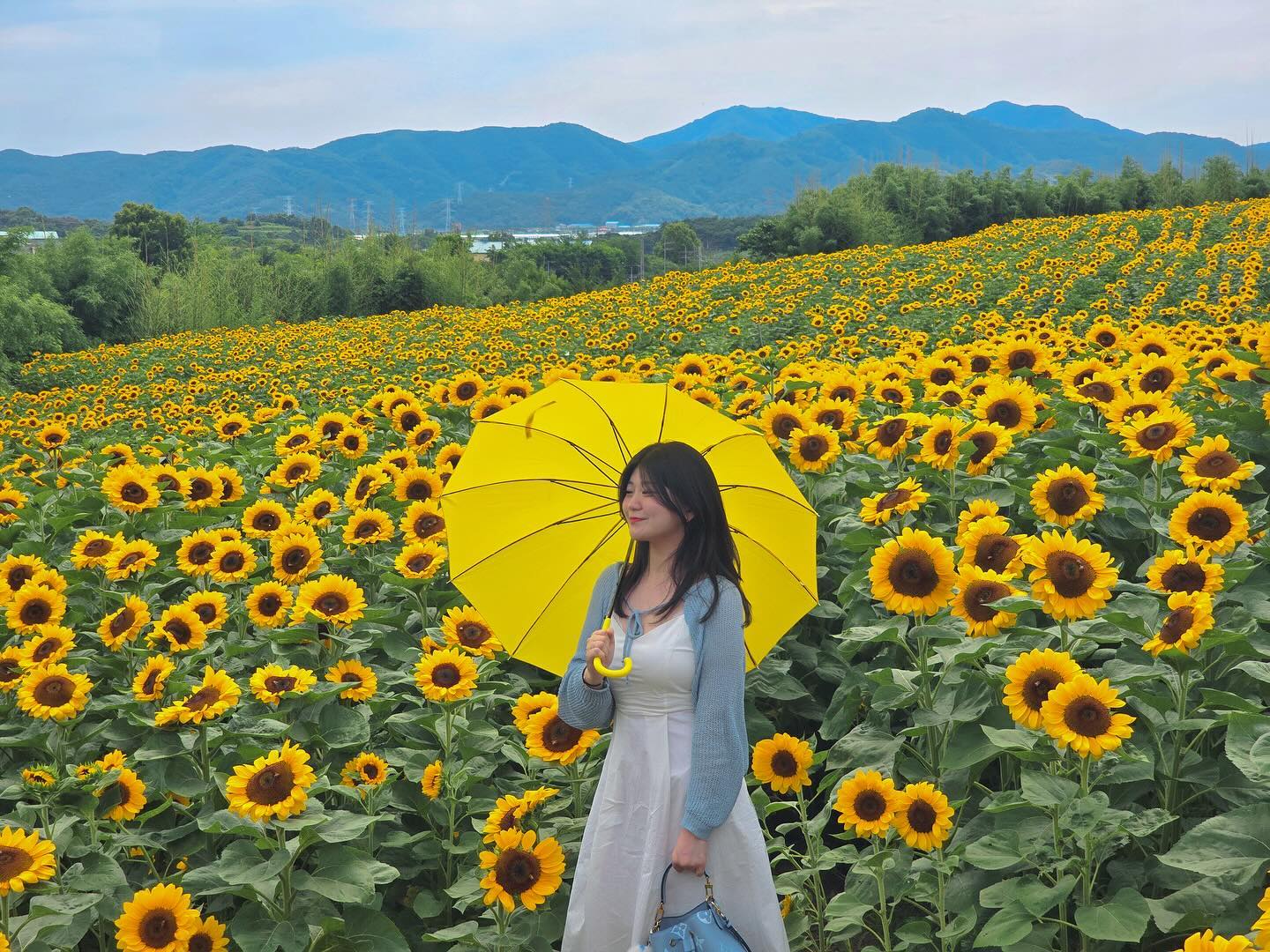 이제야 올리는🌻☀️