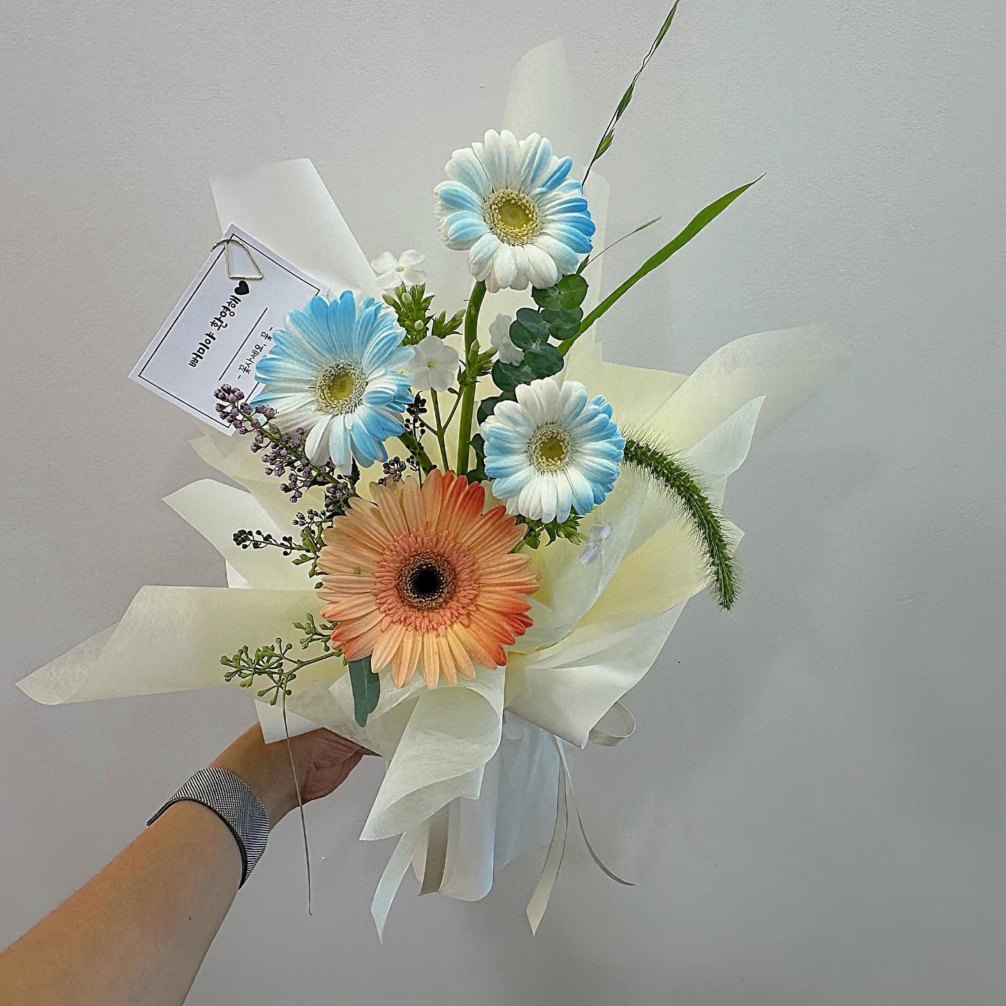 _
거베라 꽃다발 🩵🧡

🌱안양로 314번길 14, 꽃사세요, 꽃
🌱문의 Tel, 010 2575 5254

#꽃사세요꽃꽃다발