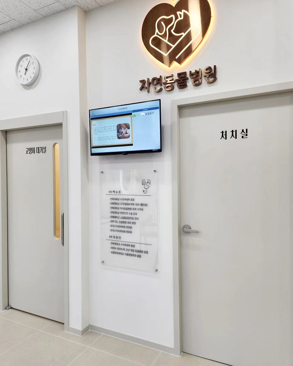 광고
군산에 위치한 자연동물병원🩺

사랑하는 반려동물
댕냥이들 건강을 책임져주고

11년차 외과석사 전문의 원장님과
17년차 내과 전문의 원장님이
 함께 진료 받을 수 있는 곳👨🏻‍⚕🏥

주말 토요일에도 진료를 진행하여 
언제든지 편리하게 방문 가능해서 좋아요🖤
심지어 이벤트도 많이 진행중이니까
다들 꼭 참여해보세요

자연동물병원 인스타그램🐾
jyamc7733

네이버 검색🔍
군산 자연동물병원

#군산동물병원 #군산중성화수술 #군산애견동물병원 #군산동물병원잘하는곳 #군산고양이동물병원 #군산강아지동물병원 #군산수송동동물병원 #군산지곡동동물병원 #군산나운동동물병원 #군산미장동동물병원 #군산소룡동동물병원 #군산강아지병원 #군산고양이병원 #군산자연동물병원