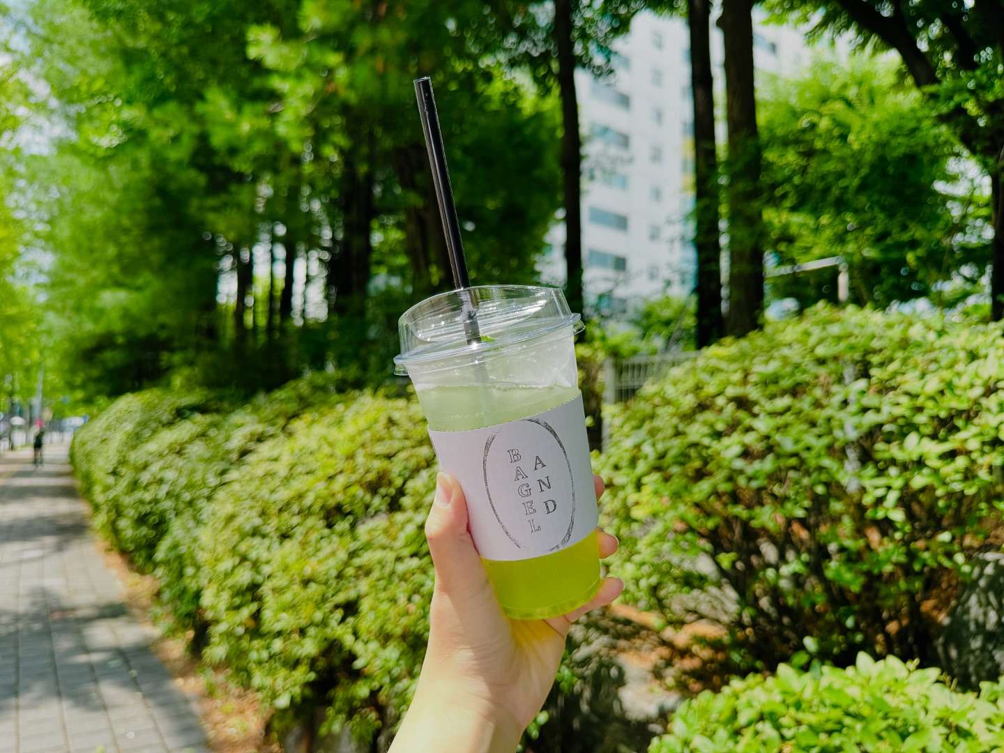 🥯베이글앤드🥯

🍬츄러스 베이글🍬
🍇청포도 에이드🍇

•매주 일요일 정기휴무
 월-금 7:30-18:00
 매 달 둘째, 넷째 주 토요일과 공휴일은 단축영업
📞 0507-1449-0496
🅿️ 주차 가능
📍포장, 예약, 배달, 생일혜택
📍경기 고양시 덕양구 화중로 177 상가동 1층 110호

#화정동카페 #화정역카페 #화정동커피 #화정역디저트 #화정역베이글 #베이글맛집 #화정베이커리 #일산화정역 #화정역베이글맛집 #베이글앤드