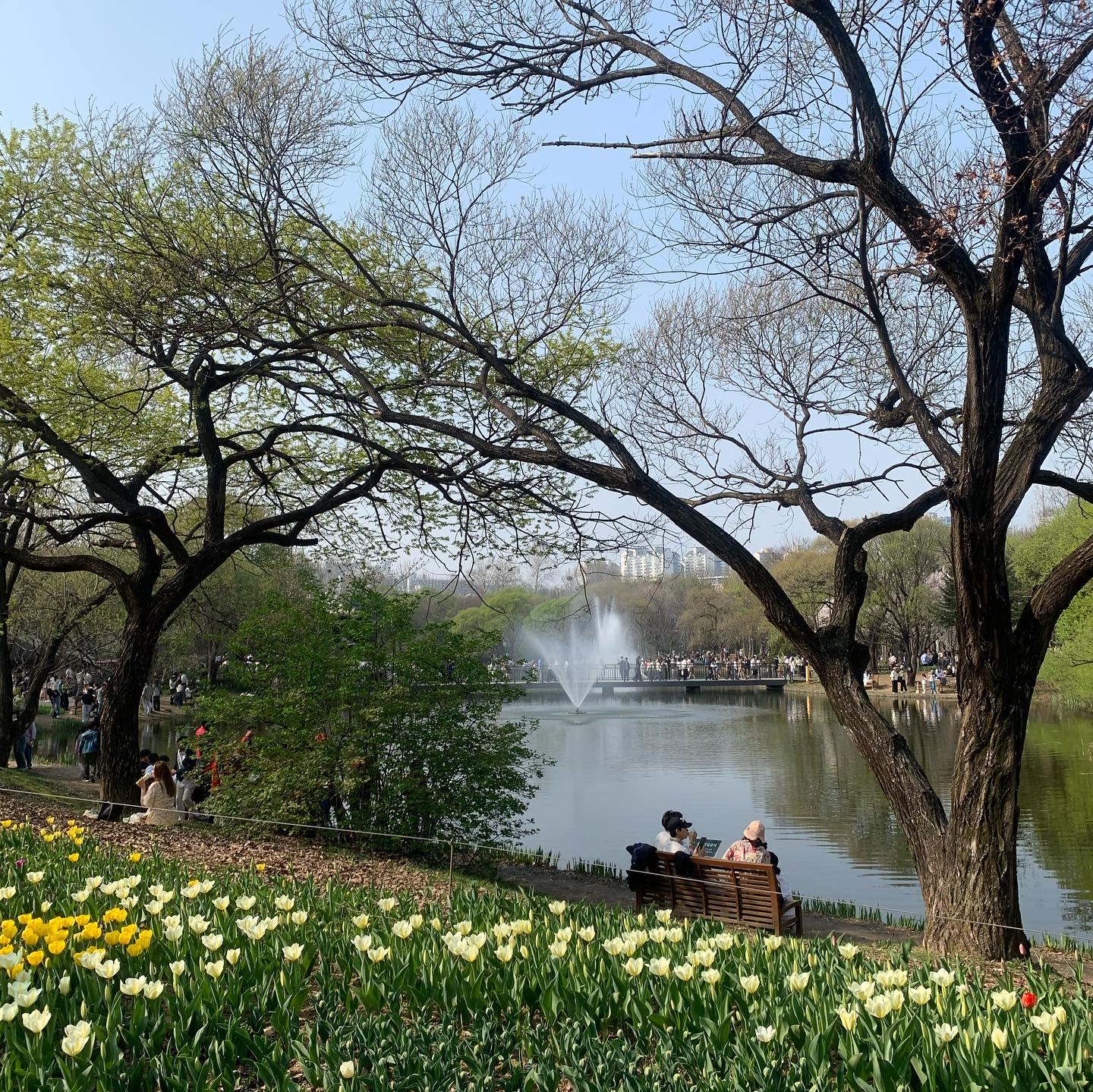 유난히 더 따뜻하고 행복함이 가득한 올해의 봄날 #🌸🌷🌼
#서울숲 #우리의계절