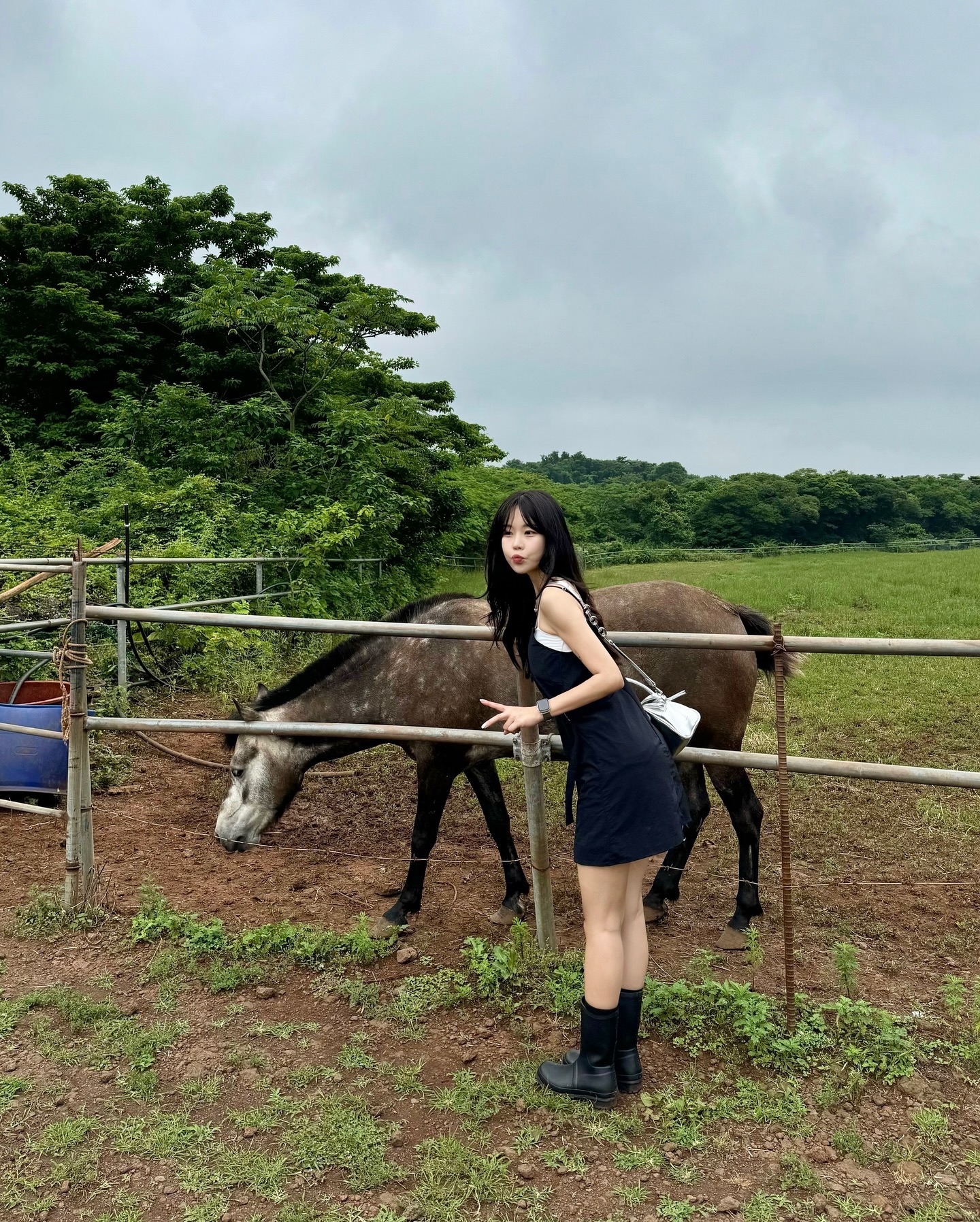 내 🐴 들리니 ~?🌿
