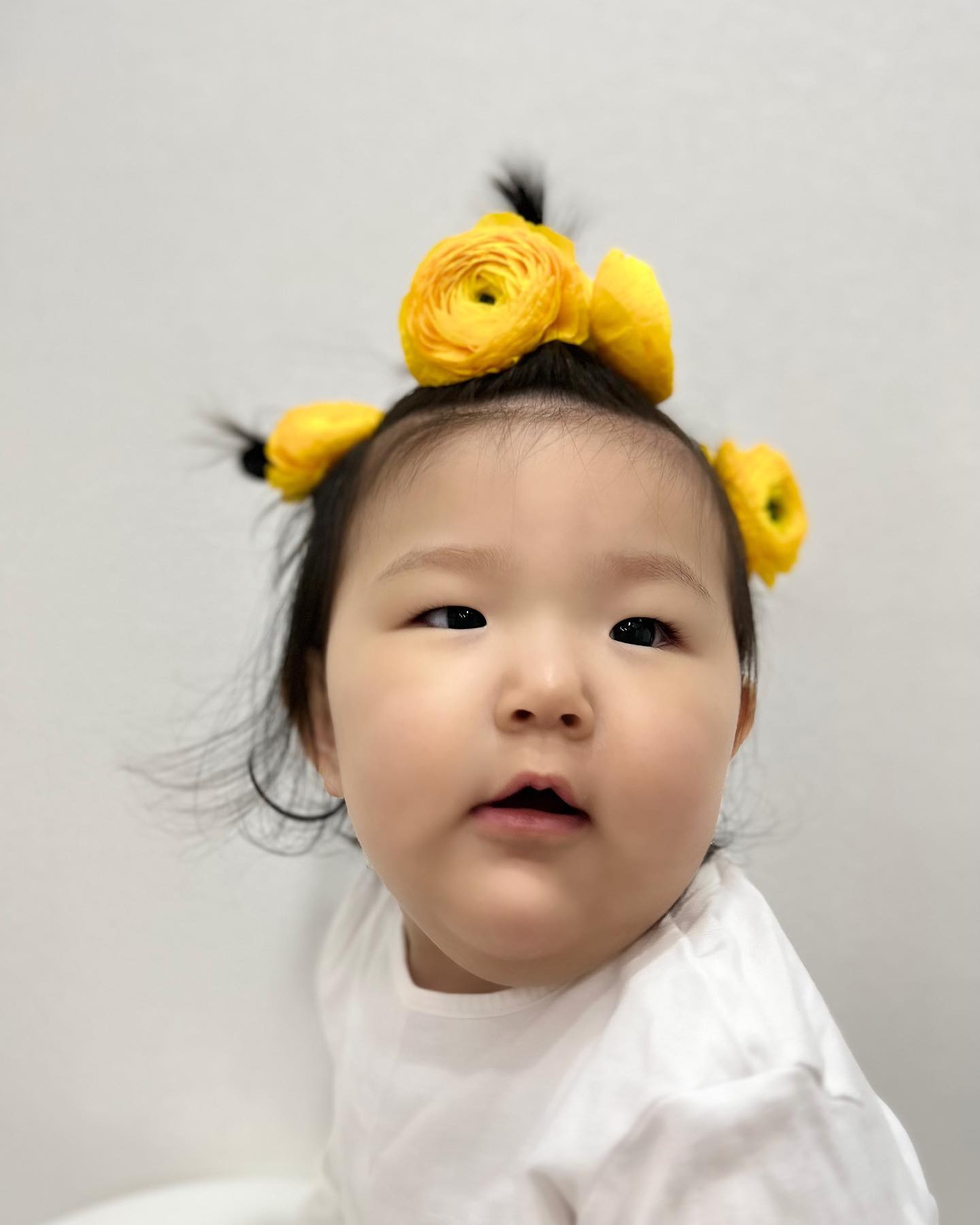 #빵끗 
‘넘치는 가정의 행복’ 이란
꽃말을 가지고 있는 3월 첫 주 꽃은 별하가 좋아하는 겹쳐진 꽃잎이 매력적은 노랑노랑 #라넌큘러스 🌼피기전 몽우리 상태에서 집에 데려와 별하가 물도 갈아주고 얼음도 넣어주고 줄기도 잘라주며 2주간 함께한 집에 봄을 주고 떠난 라넌큘러스 

시든 꽃이 아쉬워 사부작사부작 하랑이와 한컷 남겨보기
울 뚠뚠이가 꽃잎을 먹기 전에 뱌뱌👋

#꽃보다예쁜너 
#꽃보다아기