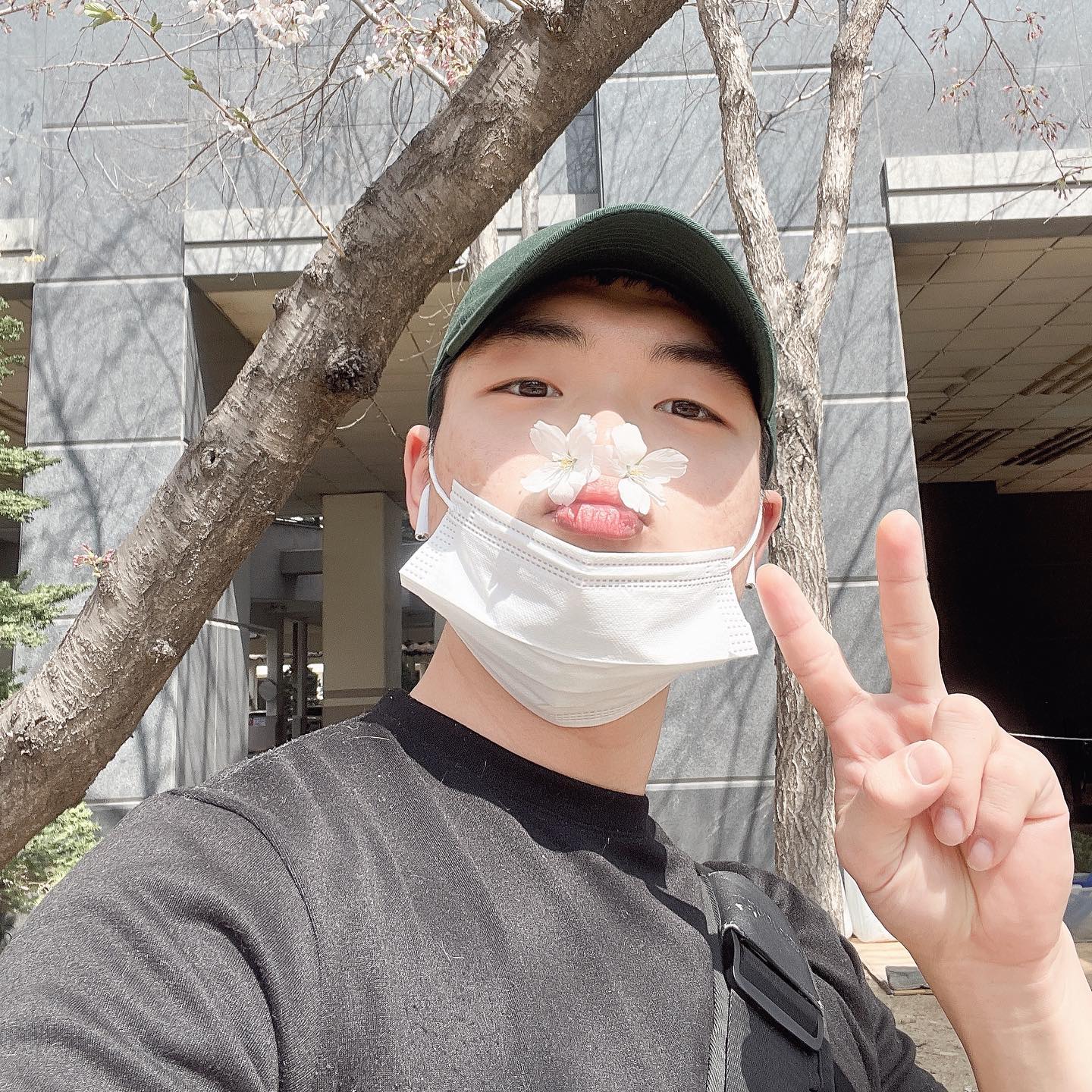 봄🌸
