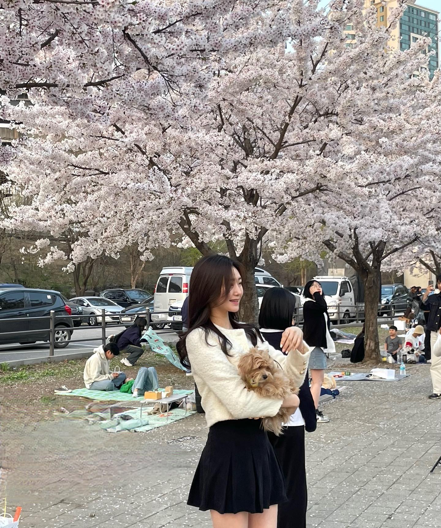 나 꽃 좋아하네…🌸🫶🩷 레오랑 함께🐶
뒤에 사람들 지우개로 지웠더니 이상하넵,,.

#벚꽃 #뚝섬 #강아지 #꽃구경 #봄 #봄코디 #옷코디 #피크닉