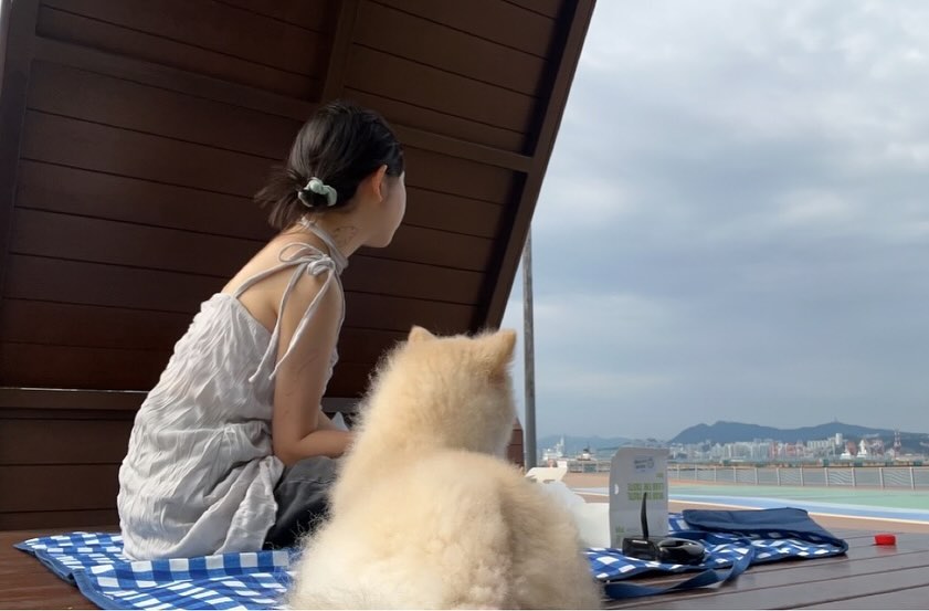 작은 애들 순으로 더 잘 먹은 피크닉🐾