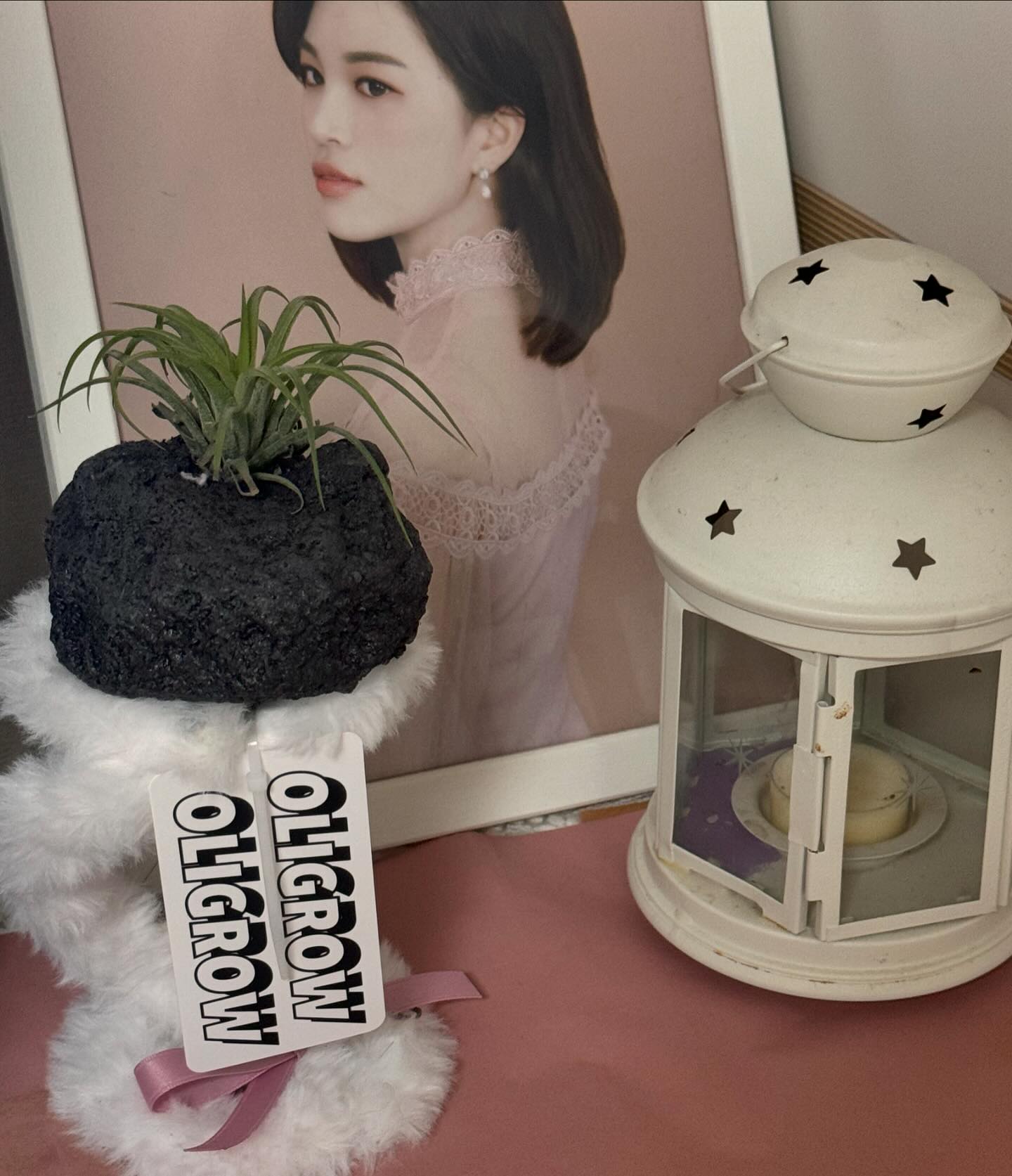 요즘 내가 제일 좋아하는 존!🩷😇
초록이들 키우기에 관심 생기게 해준, 분위기 있는 oli_grow Thx ♥

#제품제공 #올리그로워1기 #올리그로우 #식물오브제 #틸란드시아 #온라인식물가게