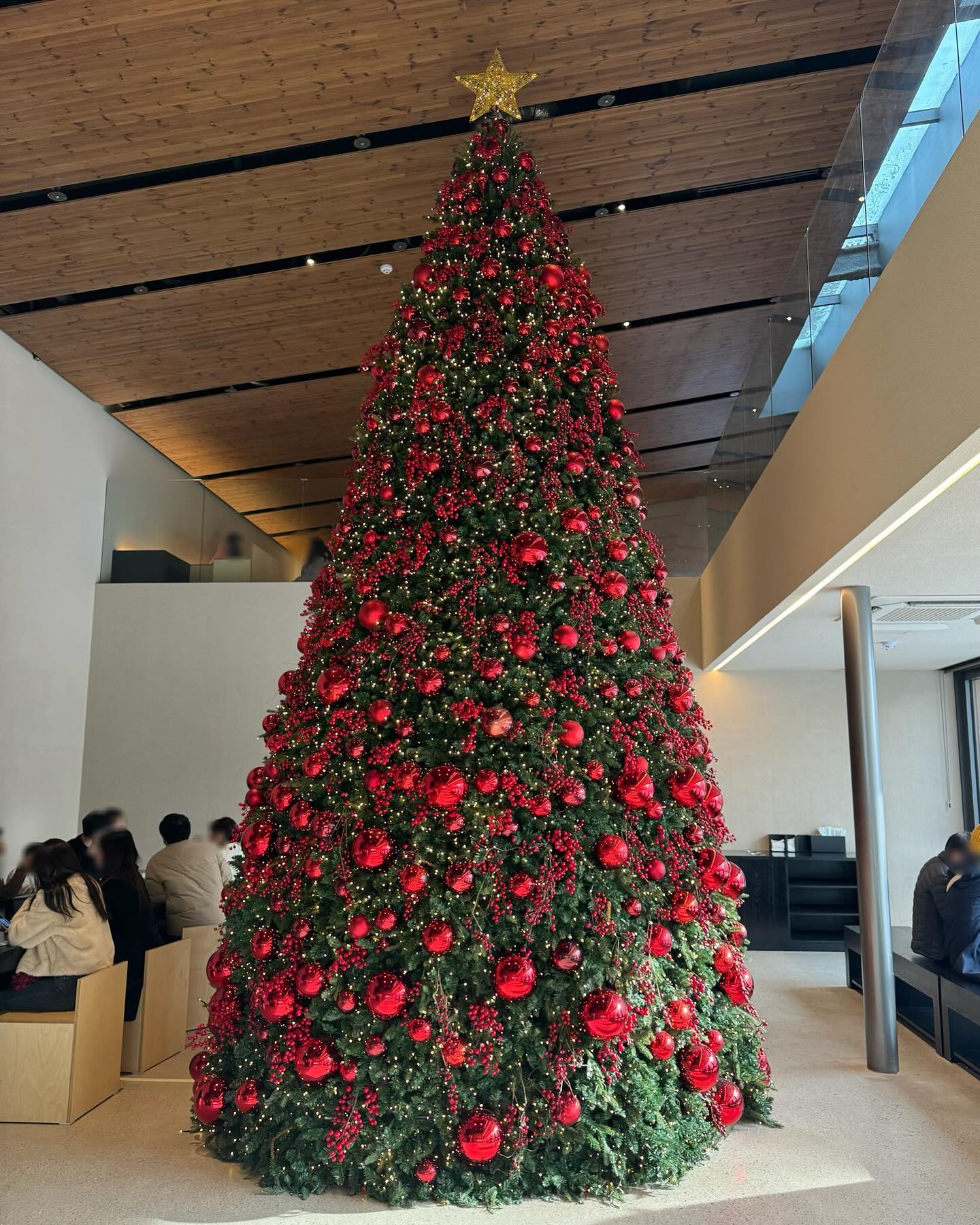 멜클🎄