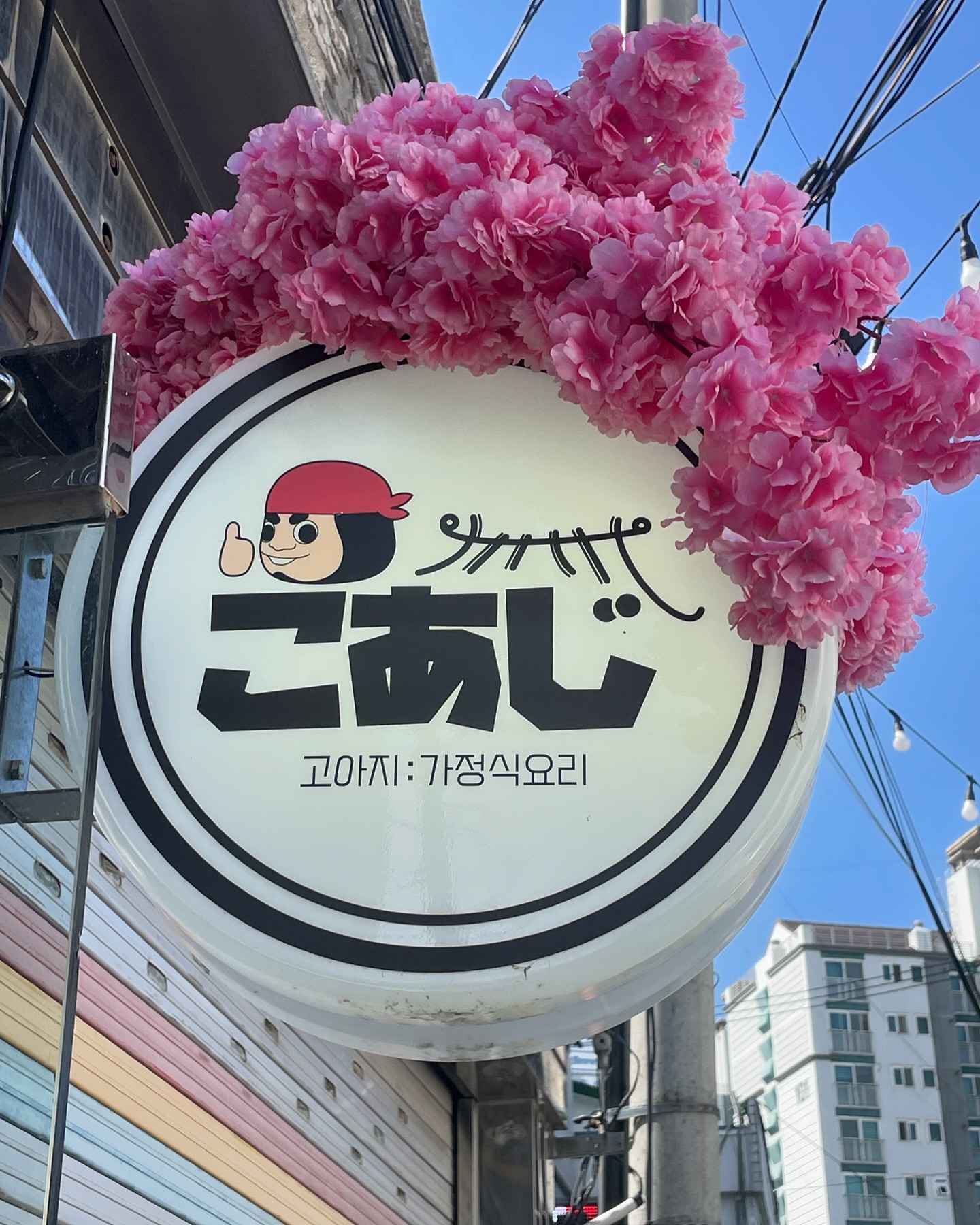 :
#협찬
용문시장 일본 가정식 도시락 맛집 고아지_🧸🍱

용문시장에 있는 
일본 가정식 도시락전문점 
고아지 벤또_🍱

고아지벤또는 말그대로 
일본 가정식을 도시락으로 만들어서 
판매하는 곳인데 
도시락 판매가격이 6천원!!!

도시락메뉴는 선택이 아니고 
그날 그날 사장님께서 
만드신 반찬으로 판매!!!

맛도 맛있이지만 
가성비가 최고!!!

매장에서 식사도 가능하고 
포장도 가능!!

오늘 벤또는 
고기반찬에 무조림 
소세지 양배추장아찌랑 생강초절임에 
국물까지!!!

완전 알찬 구성에 맛도 있고 양도 많다!!!

도시락 단체주문도 가능한
용문시장 도시락전문점 고아지벤또!!

#고아지벤또 #고아지 #용문시장벤또 #용문시장도시락
#용문시장고아지 #용문시장맛집 #용문시장단체도시락
#용산단체도시락 #신용산단체도시락주문