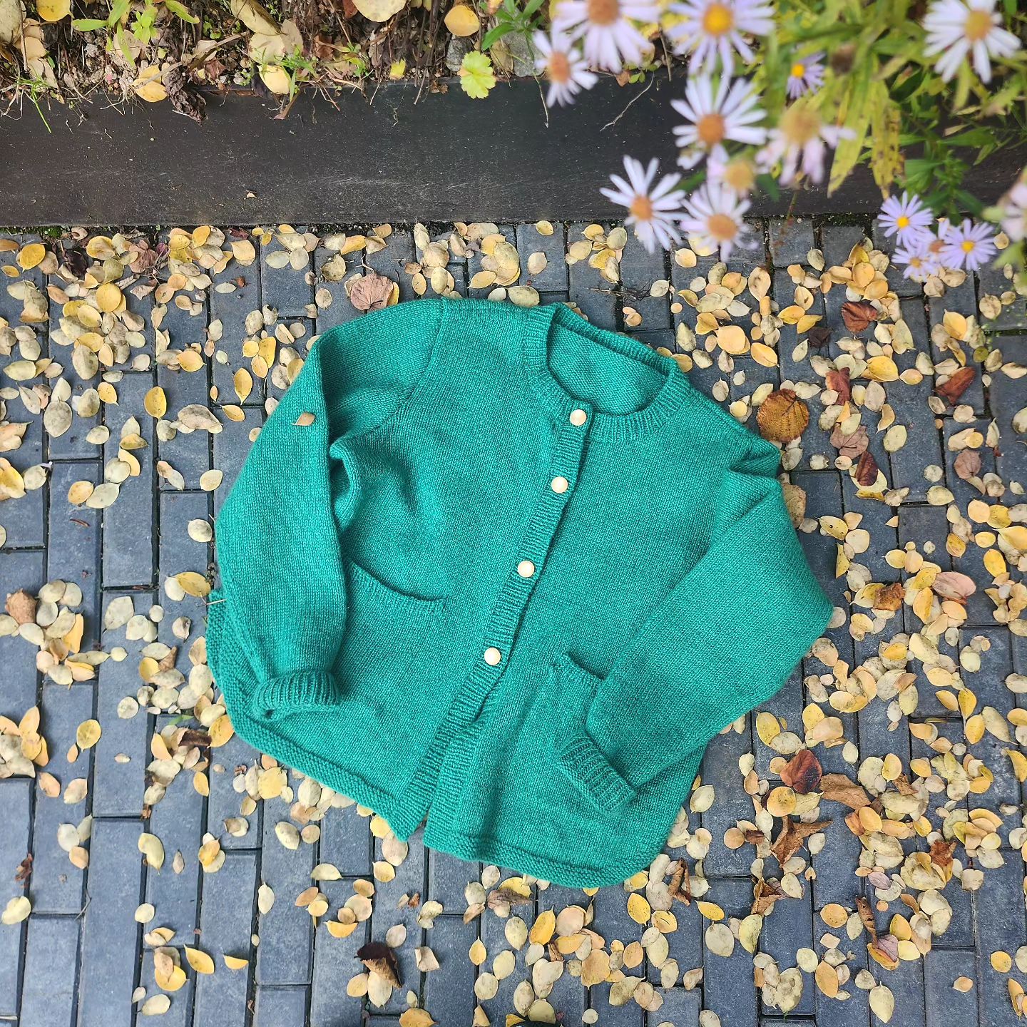 여름동안 완성했던 #amuhibiknitbook 레드가디건

아래옆 곡선과 호주머니가 포인트😍

노랑이 단추로 더 귀엽게 연출해봤어요

노랑빛이 도는 넘  이뿐 초록인데
사진으론 표현이 안되서 아쉬워용😅

니트에 손이 계속 가는 계절이 와서 행복해요🥰

#니팅팜
#동작구뜨개 
#관악구뜨개 
#상도동뜨개 
#대바늘수업
#대바늘가디건뜨기 
#대바늘가디건수업 
#대바늘가디건 
#뜨개가디건