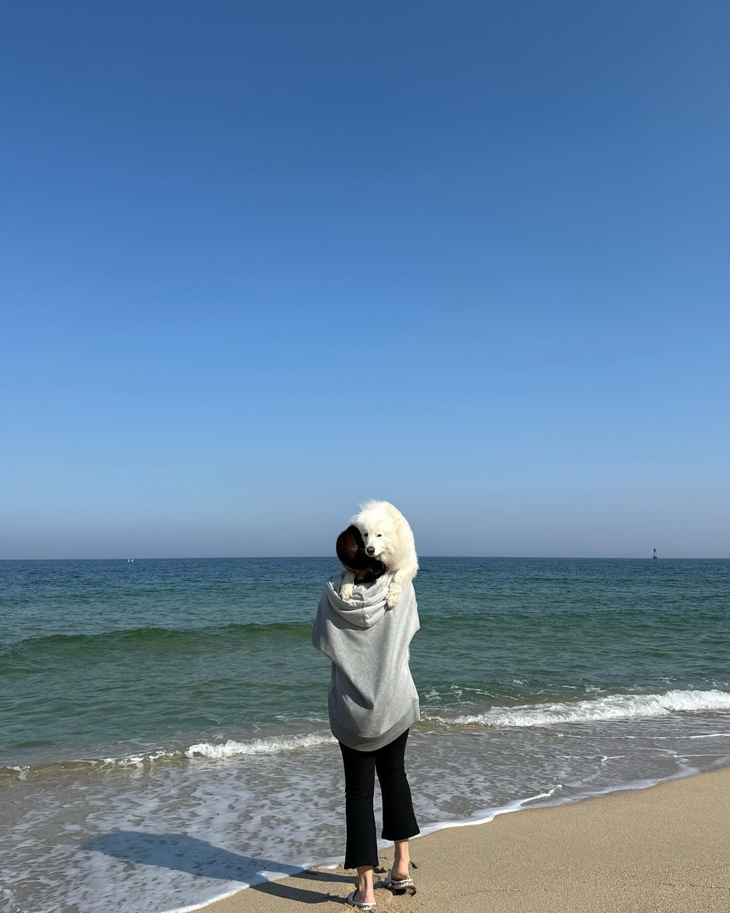 도도랑♥︎