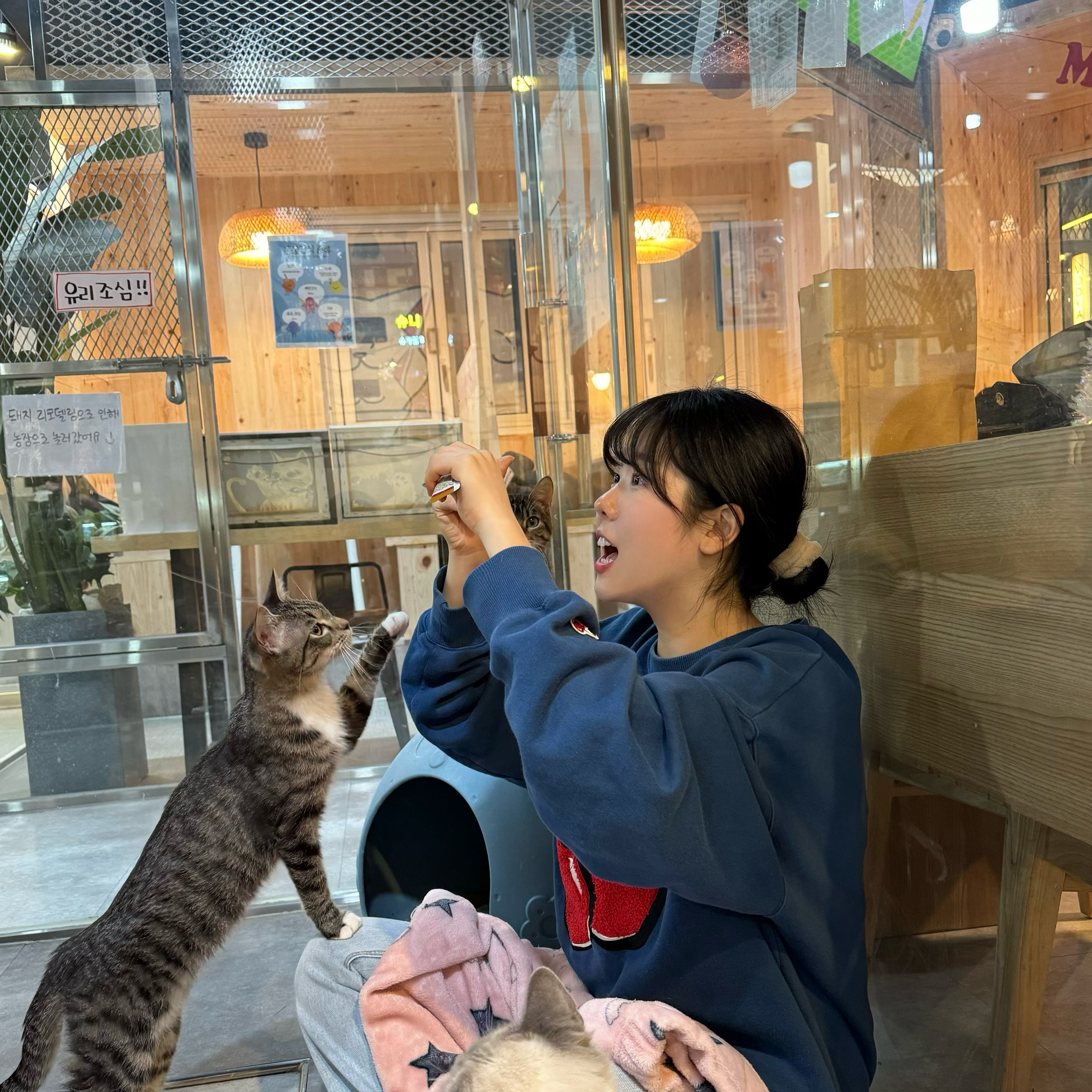 츄르부는 사나이🐱
.
.
.
.
#맞팔 #선팔하면맞팔 #맞팔해요 #선팔맞팔 #맞팔환영 #팔로워 #likeforfollow #follow4followback #followme #followback #좋아요 #좋반 #좋아요반사 #l4l #likeforlikes #like4likes #소통 #첫줄반사 #훈녀 #뷰티 #일상 #데일리 #daily #셀스타그램 #얼스타그램 #selca #selfie