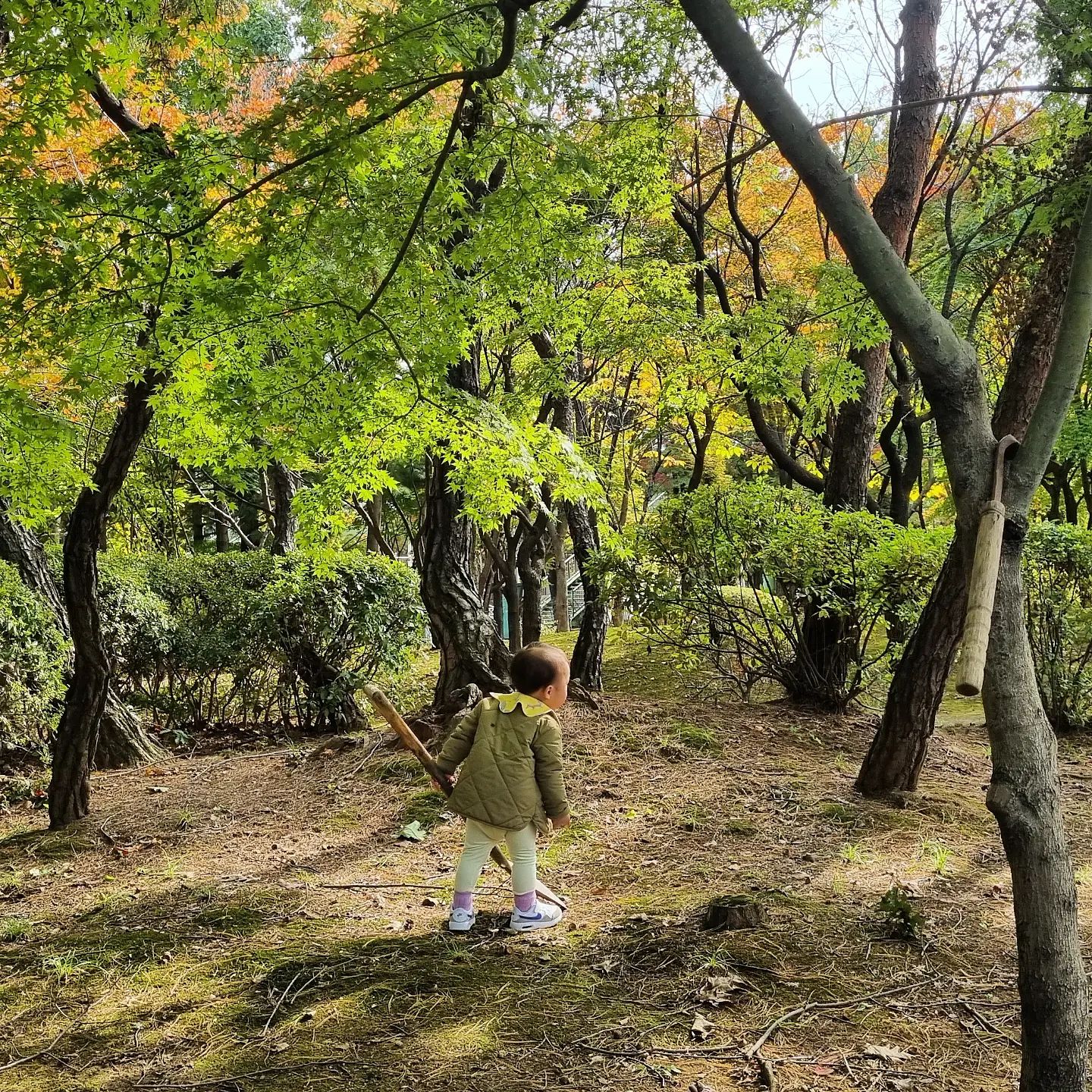 🌿

우리 동네가 나무와 풀이 많은 곳이라 사계절을 제대로 느끼지만 울 늘이 덕에 더 제대로 느끼던 하루😆

모든 생명체에 관심많고 사랑많은 마이 늘🩷
옆 집 할머니 할아버지가 집 근처 공원에 계시니 달려가더니 하바하바 외치며 할아버지 삽 들고 이리저리~

늘 건강하게 멋지게 자라줘🩵