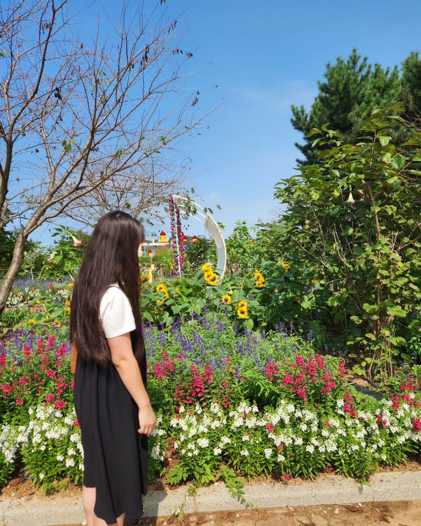 #추석연휴
#꽃구경
#가을꽃축제
#날씨가다했다☀️