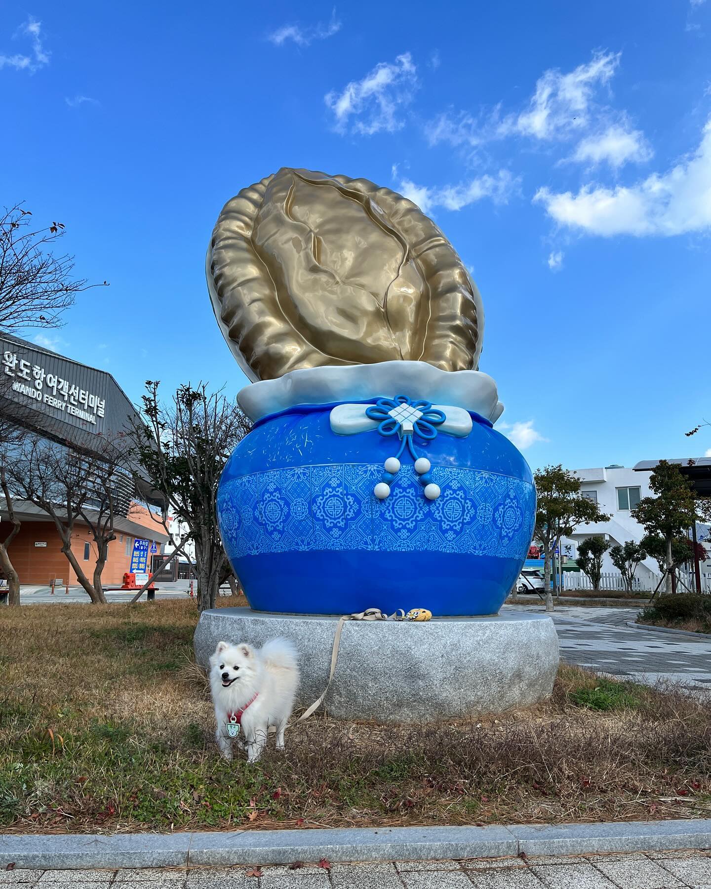 📍완도여객선터미널 앞 흉물스런 전복 동상
📆2023.11.28
🐟완도어반 화덕생선구이

언젠간 배타고 제주도 갈 날을 기약하며!!
