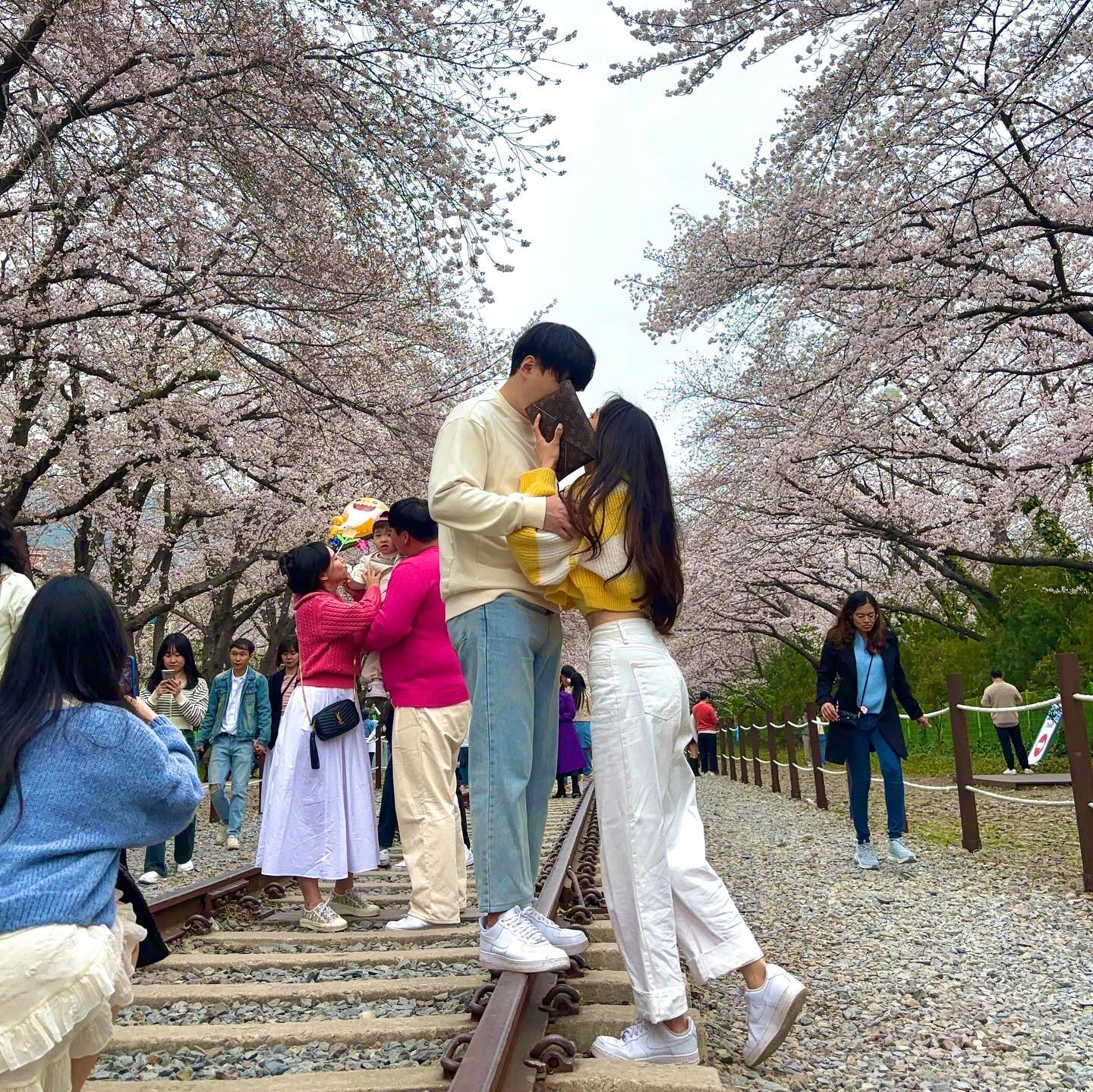 🌸함께하는 네번째 봄🌸

둘이서 보는 네번째 벚꽃 ❤️🫶🏻..
잘먹고 잘놀았지요 히히
게임도 많이하고 야시장도 털고
길거리 음식도 야무지게 먹어따 ..🤤ㅎ

박돼지때매 나도 돼지되게썽 ~~~~~~~~