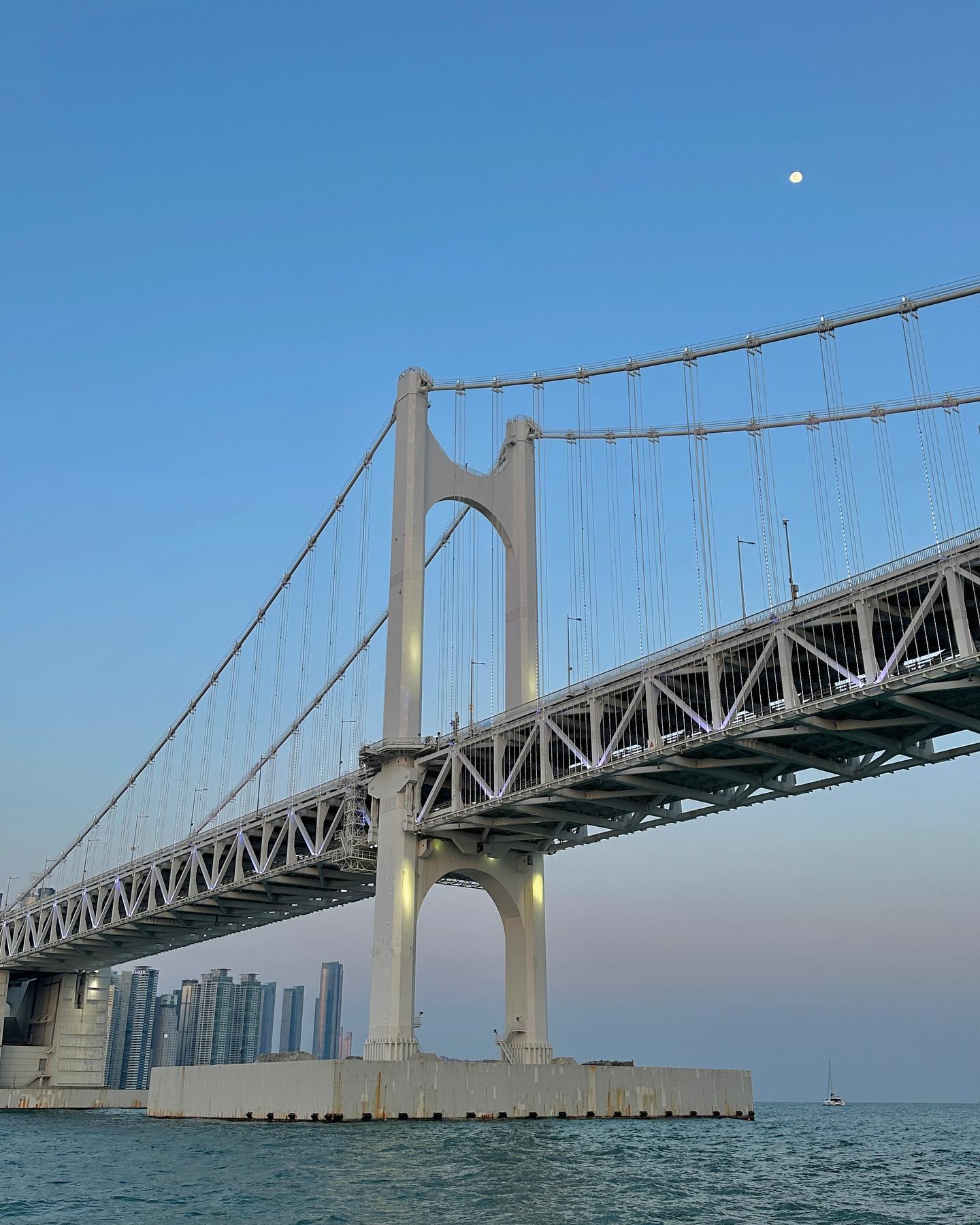 콘텐츠
