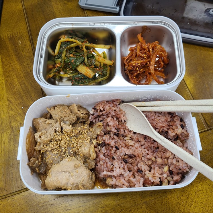 [직장인도시락통추천] 진주상사 파스텔리빙 2단 스텐도시락통