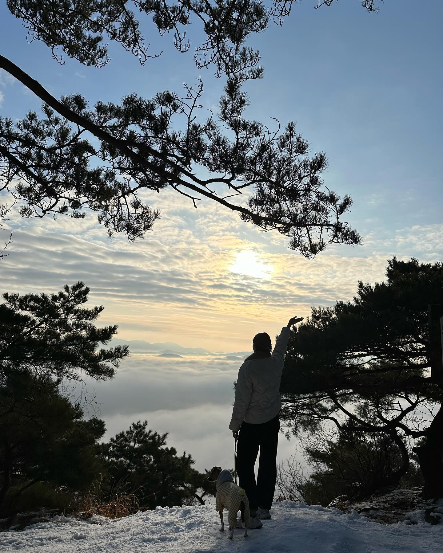🌤️🐶🏔️
.
.
#🙇‍♀️ #새해 #해돋이 #☀️ #2024 #🐉 #happynewyear #해돋이명소 #아차산 #등산 #설산 #새해첫날 #강아지랑 #힐링 #상쾌해 #🗻 #일상 #연휴 #주말 #daily #selca #selfie #fff #f4f #소통 #선팔맞팔 #좋아요 #좋반 #행복 #❤️