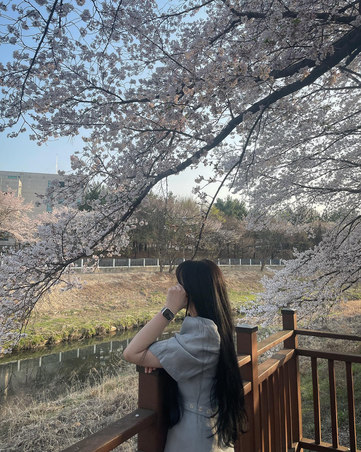 🌸👊🏻✊🏻🤛🏻