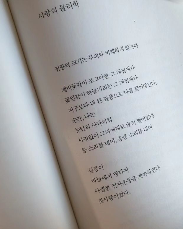 도깨비의 계절