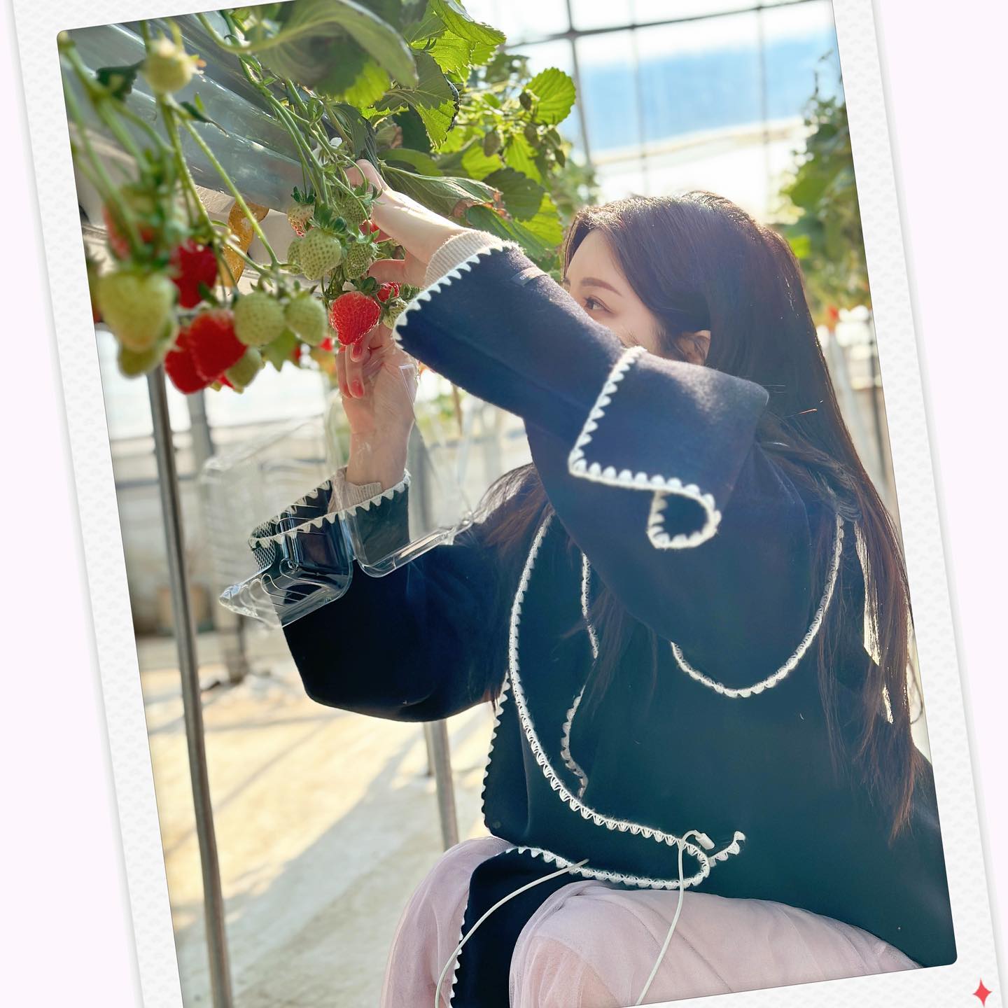 #남양주가볼만한곳 
#별마을딸기농장 🍓🍓

딸기체험 하는 곳들 사진 다 보면서
딸기 상태 제일 좋은 곳으로 예약한 딸기쟁이 🍓😝🍓

딸기향 가득한 #딸기체험 ㅎㅎ 너무 행복했다.
사장님이 서비스로 주신 복숭아 딸기 …진짜 맛있었어요~
#주말 #딸기 🍓