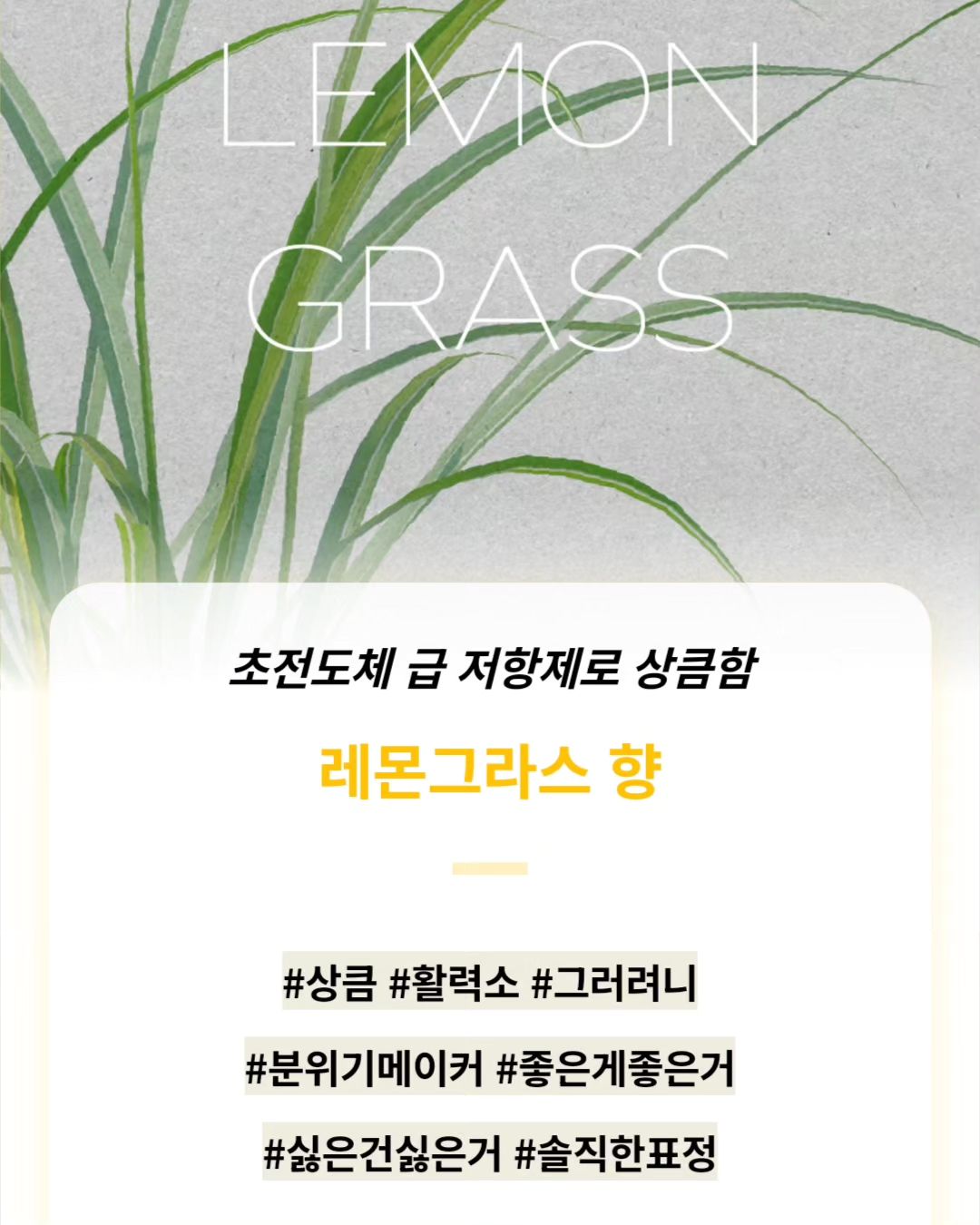 레몬그라스처럼 상큼하게
모두 함께 하는 세상 응원합니다. ^^