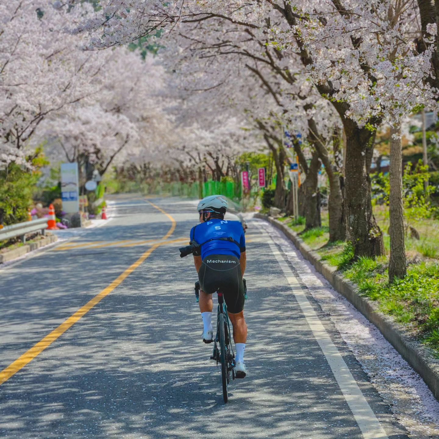 요즘따라 꽃이 이쁘게 느껴지는건 나이 먹어서?💮

마지막 벚꽃은 이렇게 마무리🚲