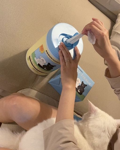 밤이랑솜이랑 on Instagram: "#협찬 @pooch.market 귀여운 밤이솜이가 반려동물 전용 [푸치마켓 이지티슈]를 선물 받아서 사용해봤어요. 집사님들 반려동물에게 일반 물티슈 사용하면 좋지 않다는