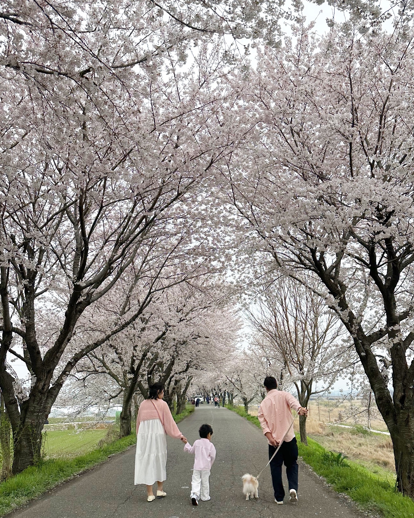 가족사진🌸