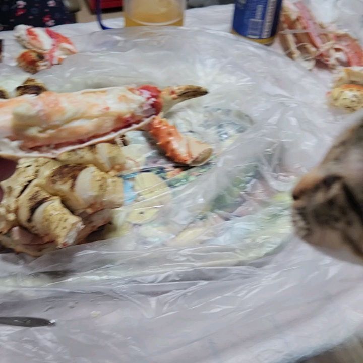 오랜만에 킹크랩~~
킹크랩 먹는 여름이..넌 묘생역전이당~~
내장 파스타에 치킨까지 완벽했다 ㅋ

#킹크랩맛집 #우리집 #묘생역전 #자담치킨
#킹크랩파스타 #누룽지튀김 #지구별외계인 
#JMT #먹스타그램 #맞좋아요 #맛스타그램 
#인친 #선팔 #언팔 #선팔하면맞팔 #언팔체크함