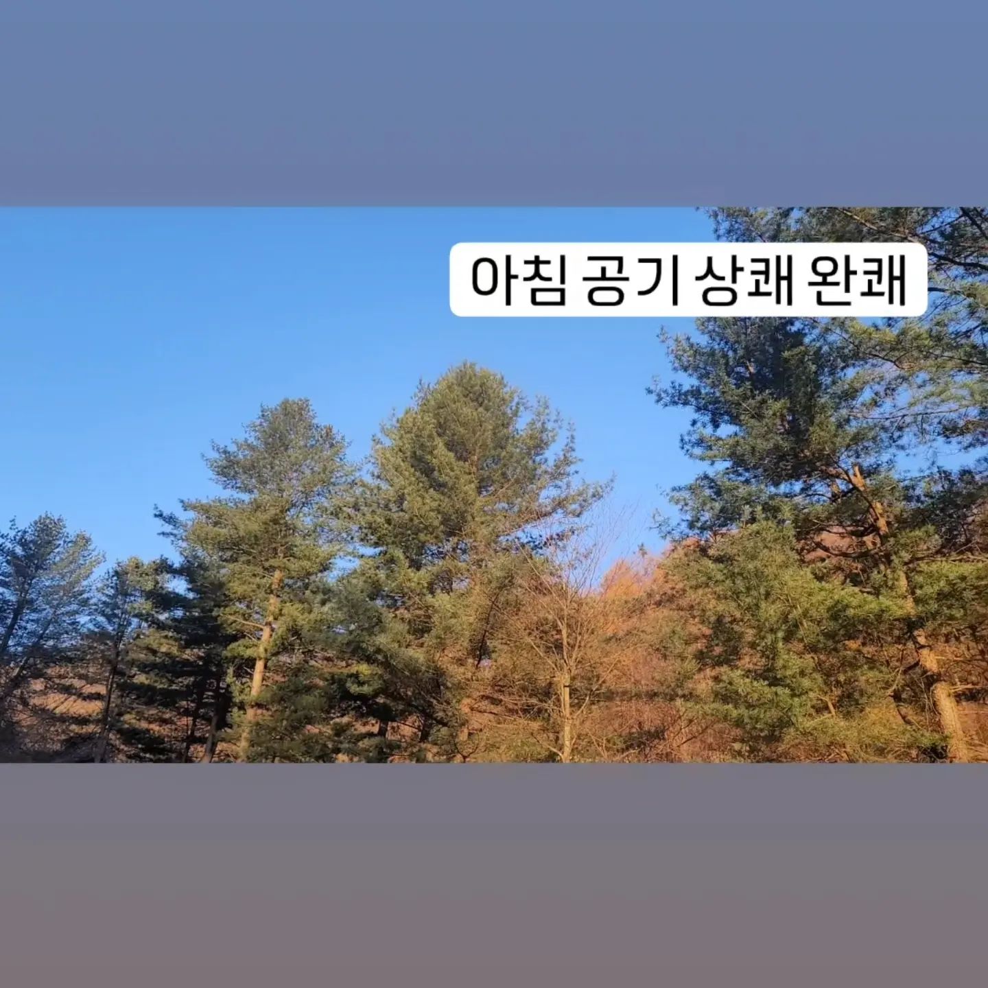 정신건강 힐링

이설예설이 #가정체험학습신청  하고 오늘은 쉬렴