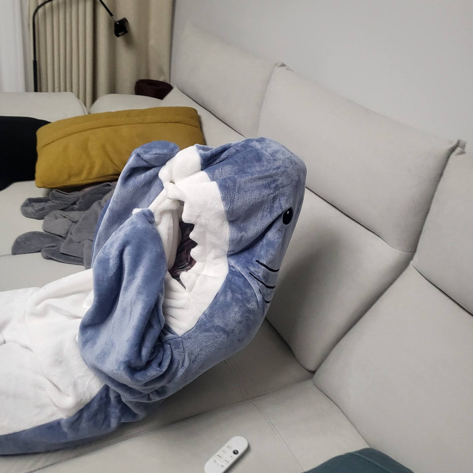 오래 걸렸다! 내집 마련🏠
이제 시작이다😁

오피스텔에서 시작해서 파주운정이지만 내집마련 성공!
이사한지 2달이 다되어 짐정리가 거의 다되어가는 이때 등기완료라니.. 
그래도 이제 완전 내집이구만😎

우리집이 생겼다는 좋은 마음으로 힘든일도 이겨내봅시다! 
오늘도 웃음기 가득한 즐거운 우리집😍

#별숲오르트 #소유권이전등기 #내집마련 #이제시작 #좋아요 #상어담요