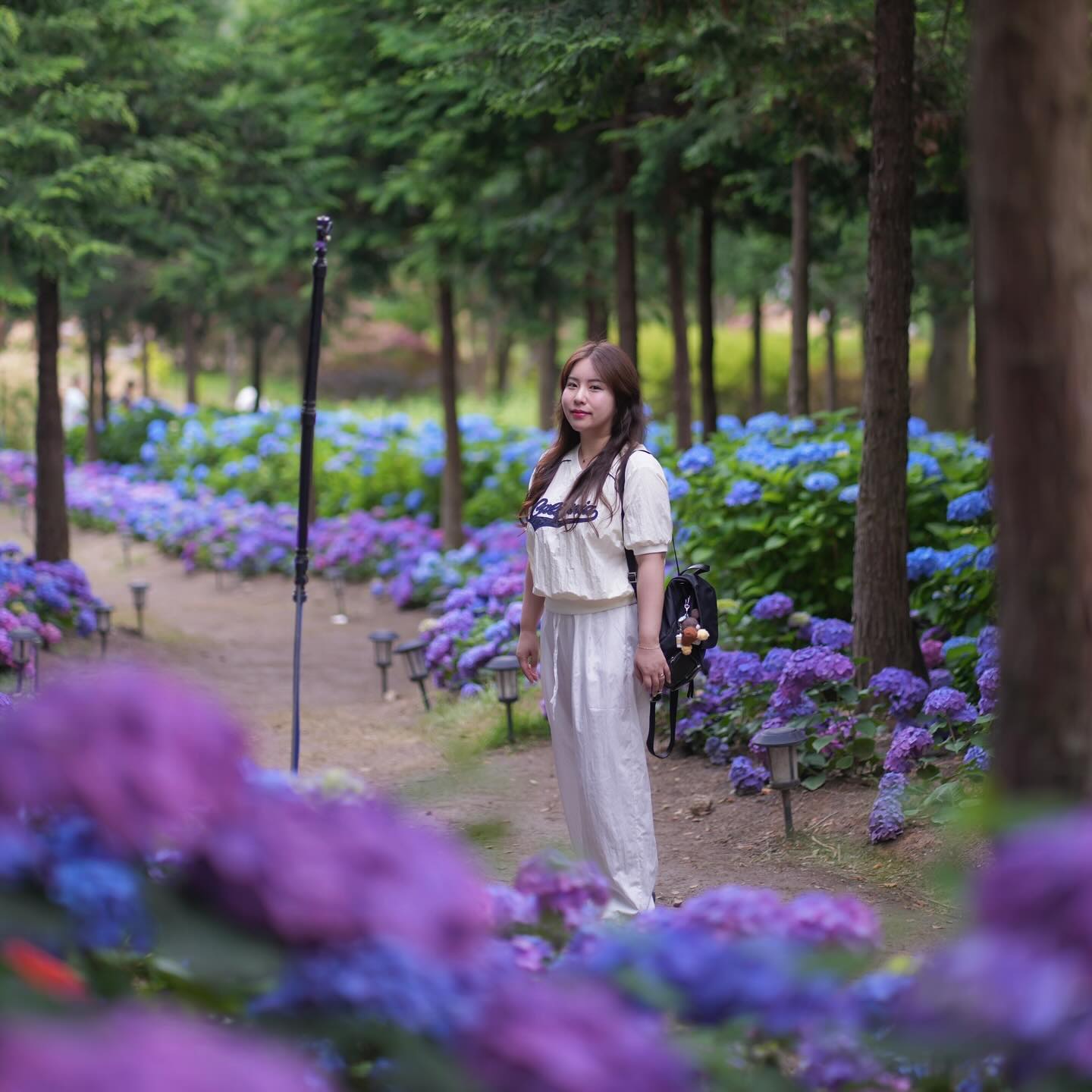 흐리지만 수국은 넘 예뻤쟈냐..💙💜