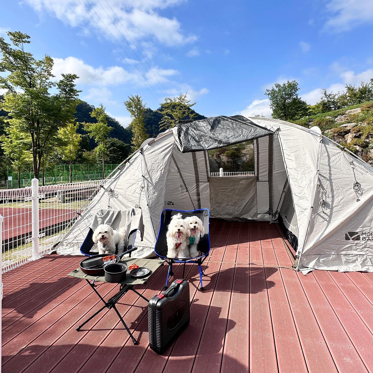 5식구 첫 캠핑 🏕️
옴마 우리 캠핑 좋아하네🤓 자주 가자가자규

.
.
.
.
.

#정선여행 #와와정선 #캠핑장 #펫캠핑장 #강아지동반캠핑 #펫캠퍼 #가을캠핑 #인친 #맞팔 #견주소통 #멍팔 #댕댕이 #일상 #일기장 #좋아요반사 #캠핑스타그램 #캠퍼 #강원도캠핑 #다견가정