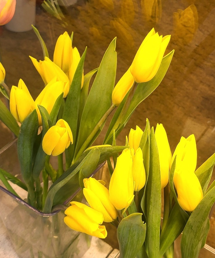 연남동데이트 ] 남동생커플과의 첫 데이트 :) 🌼
