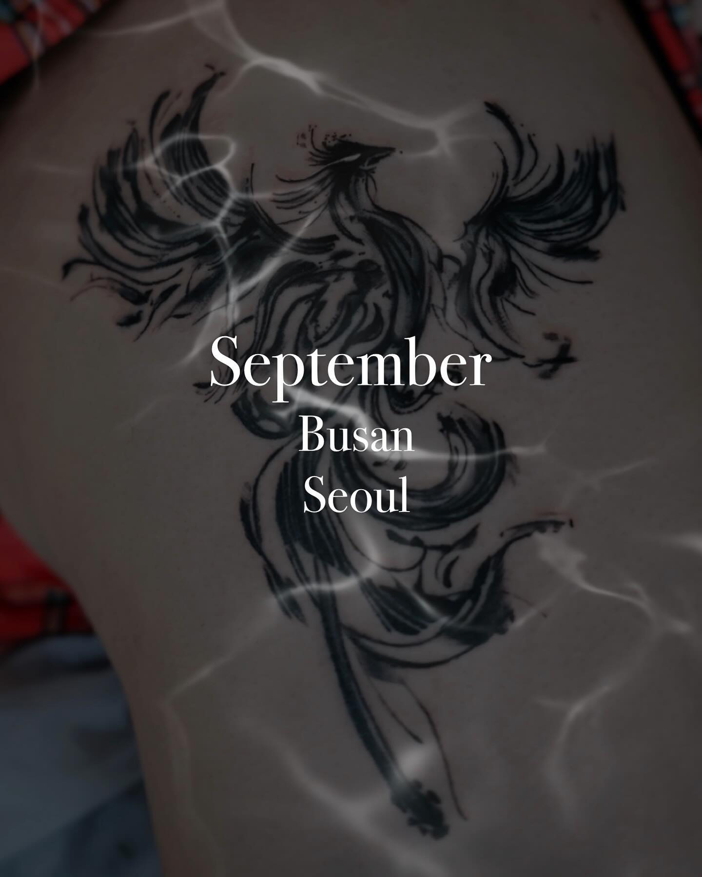 September Busan,Seoul Booking open

부산,서울 9월 예약을 받고있습니다
Dm 또는 프로필하단의 링크로 편하게 문의주세요 ✨