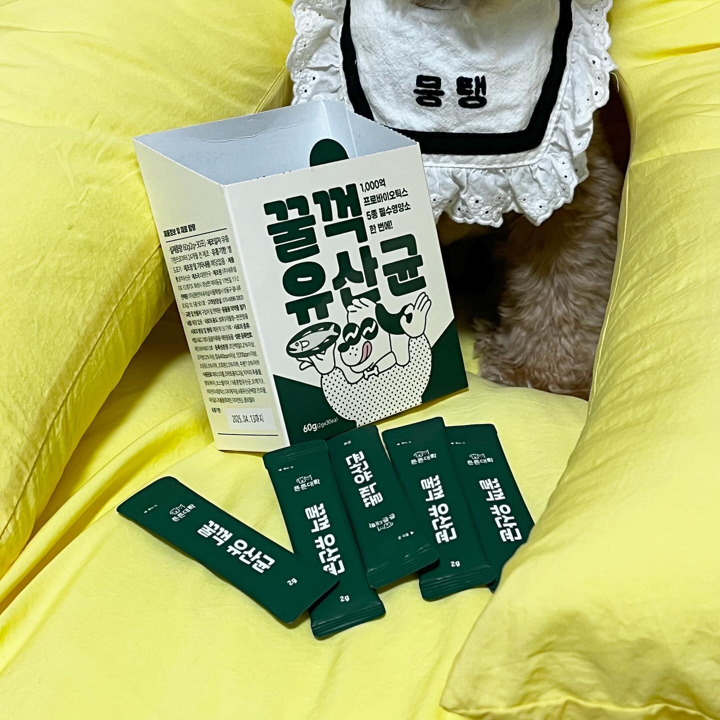 #협찬 

기호성도 좋고 성분도 좋은 복합 꿀꺽 유산균〰️

다른영양제는 몰라도 유산균은 
필수인만큼
여러가지 유산균 먹여봤는데 
기호성은 제일 최고인 꿀꺽 유산균! 

그럴수밖에없는게 뜯자마자 황태냄새가 확 올라와서
뭉탱이 눈이 휘둥그레 😶

물에도 잘녹아서 사료위에뿌려서 물도 살짝섞어주면
음수량도 높히고 황금응아도싸고 
밥도 잘먹는 꿀템!
알러지유발성분 없구 한포로 관절,눈,면역,장,피부
모든걸 해결할수있어서
필수템인거같아용 1일1유산균 
꼭 챙기기 ෆ